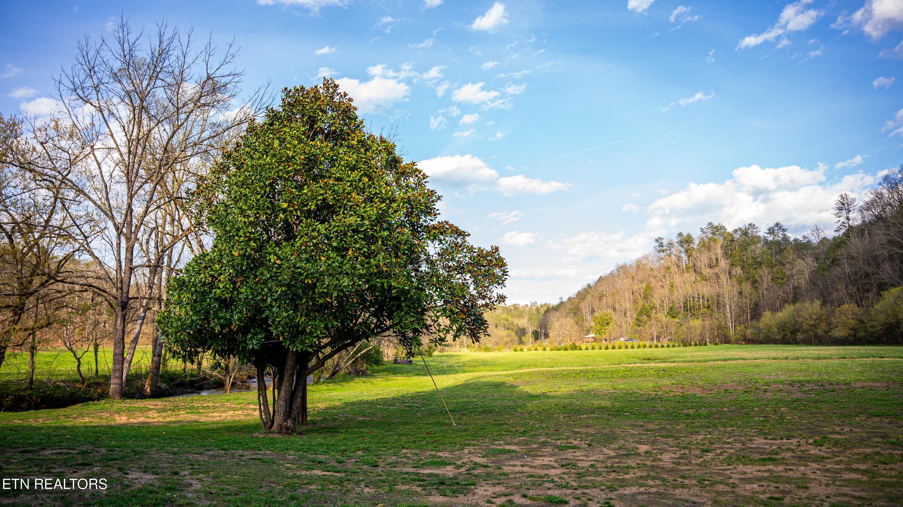 Sevier TN 77.63 Featured_Pro Photo-39 - 4242 Pearl Valley Rd, Sevierville, TN 37876