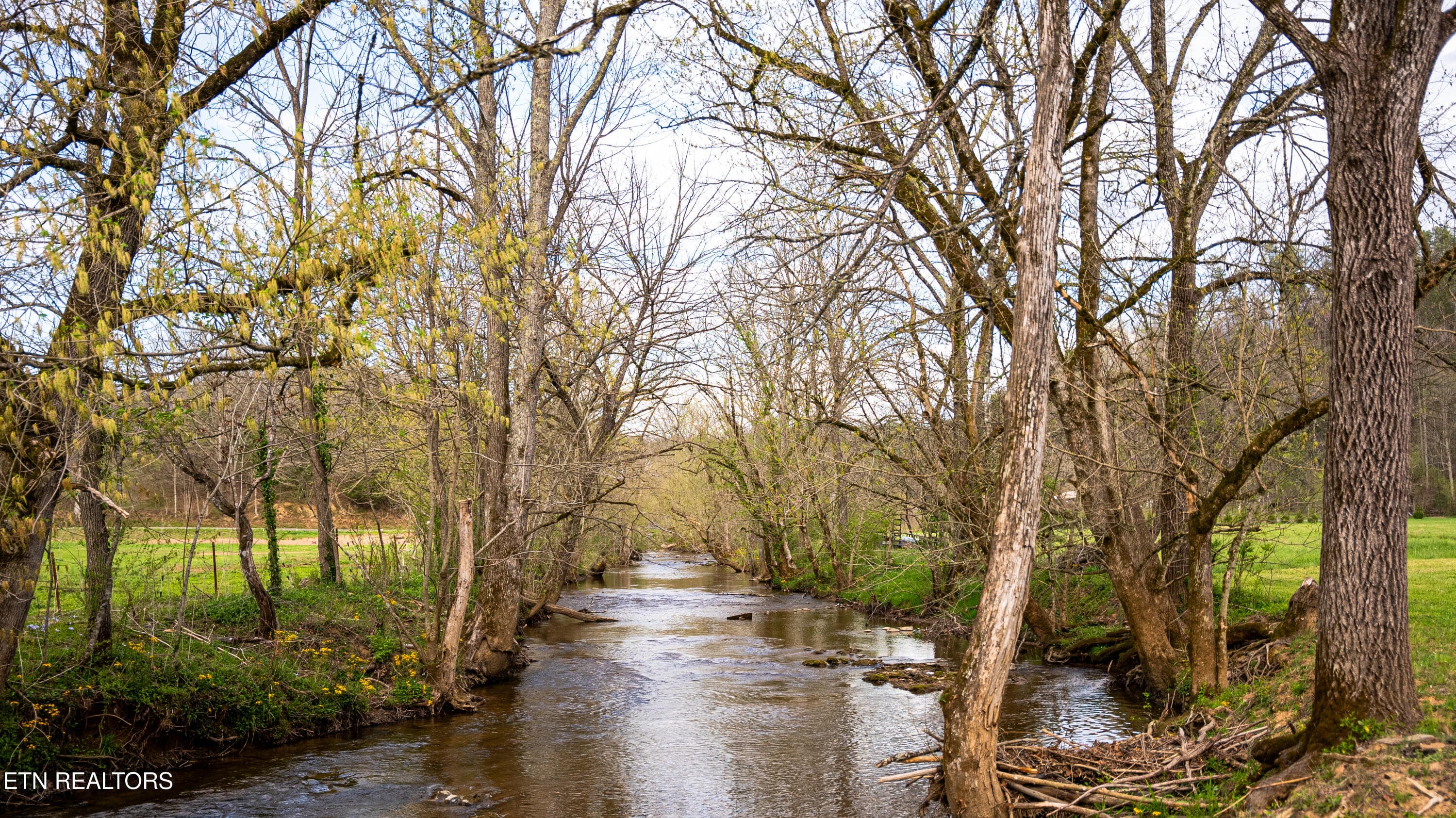 Sevier TN 77.63 Featured_Pro Photo-54 - 4242 Pearl Valley Rd, Sevierville, TN 37876