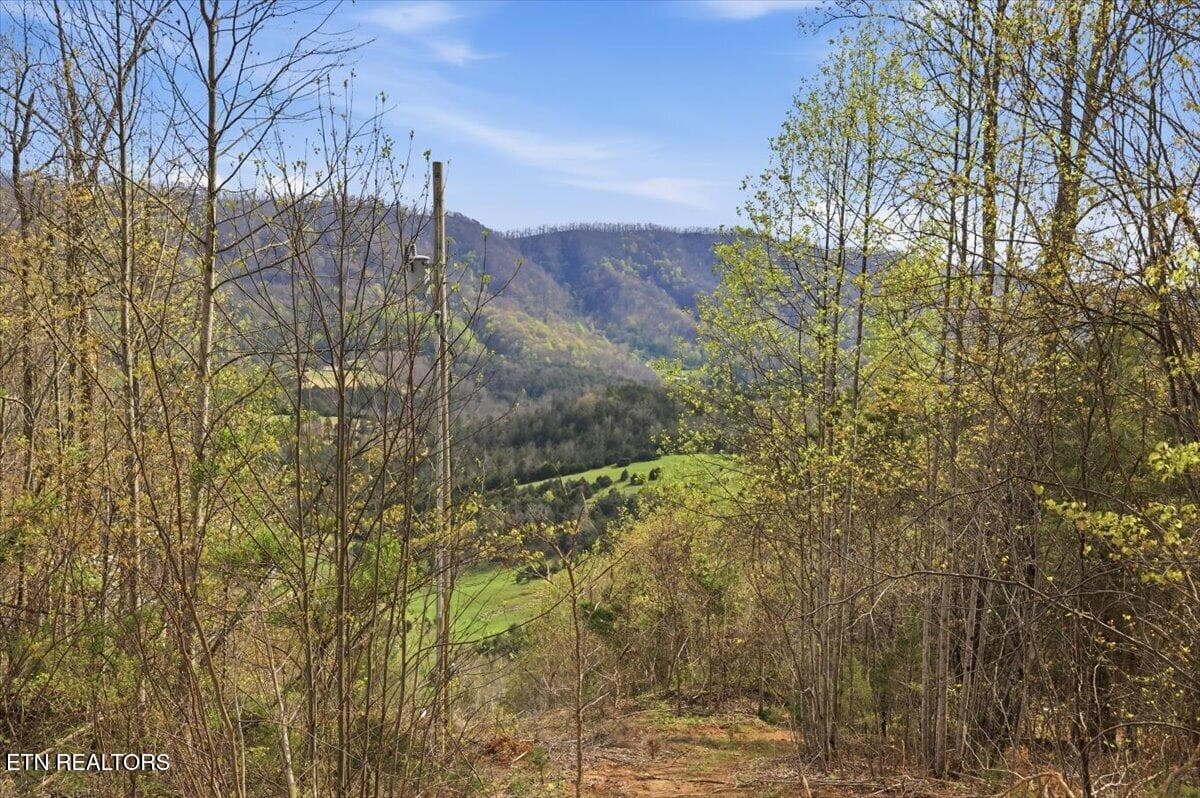 49-542_Jackson_Hollow_Rd_049 - 542 Jackson Hollow Rd, Thorn Hill, TN 37881, Thorn Hill