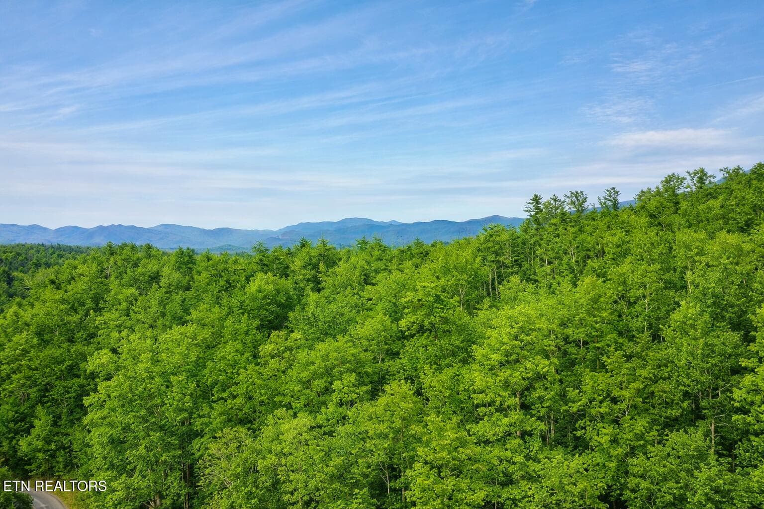 Mountain View from house sites - Lot 41 Black Maple Way, Del Rio, TN 37727, Del Rio