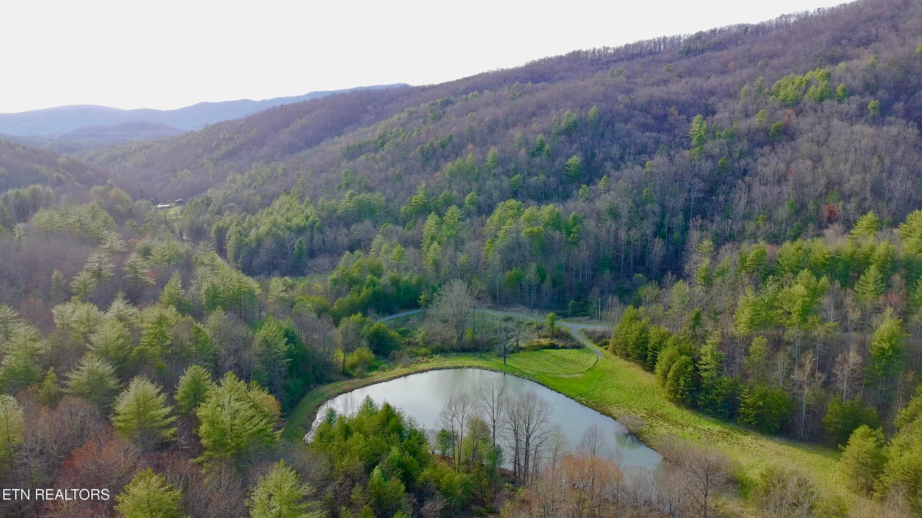 Community Pond - Lot 41 Black Maple Way, Del Rio, TN 37727, Del Rio