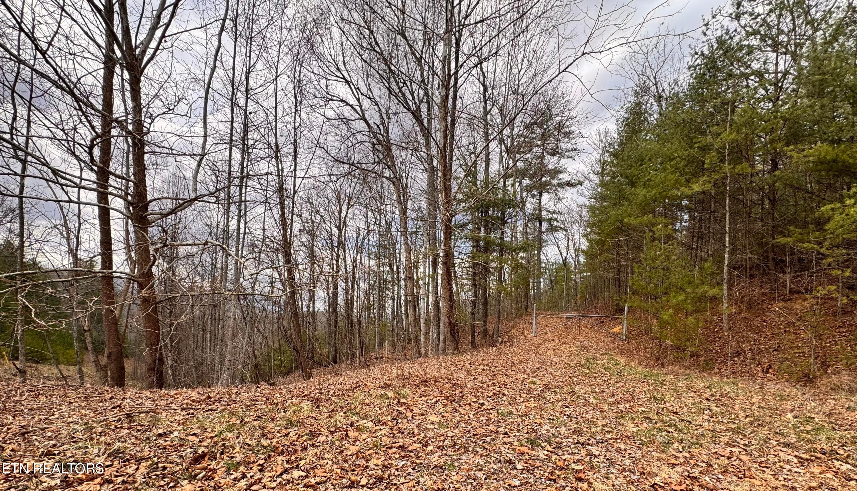 gate to Cherokee National Forest - Lot 41 Black Maple Way, Del Rio, TN 37727, Del Rio