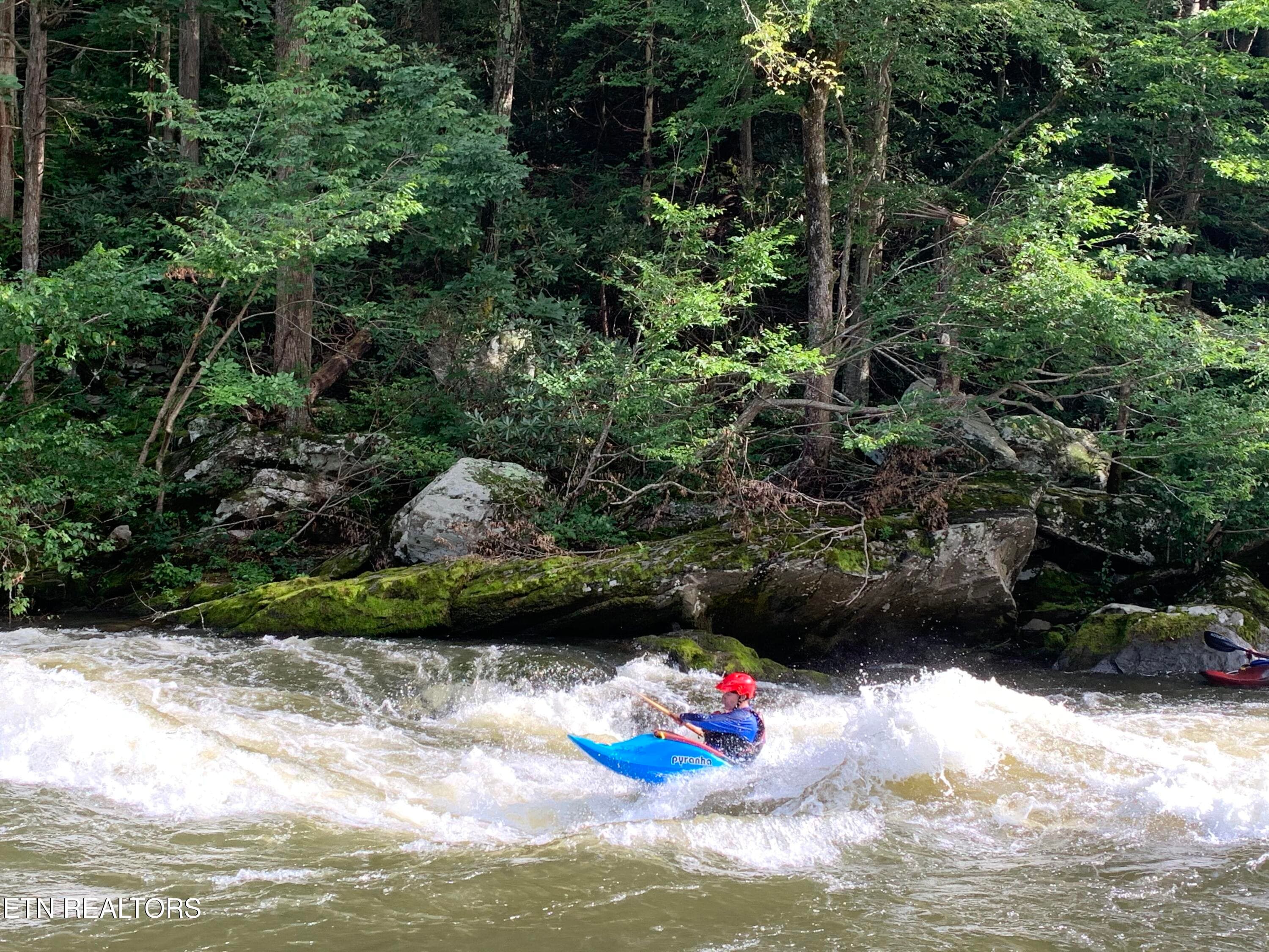 Pigeon River - Lot 41 Black Maple Way, Del Rio, TN 37727, Del Rio