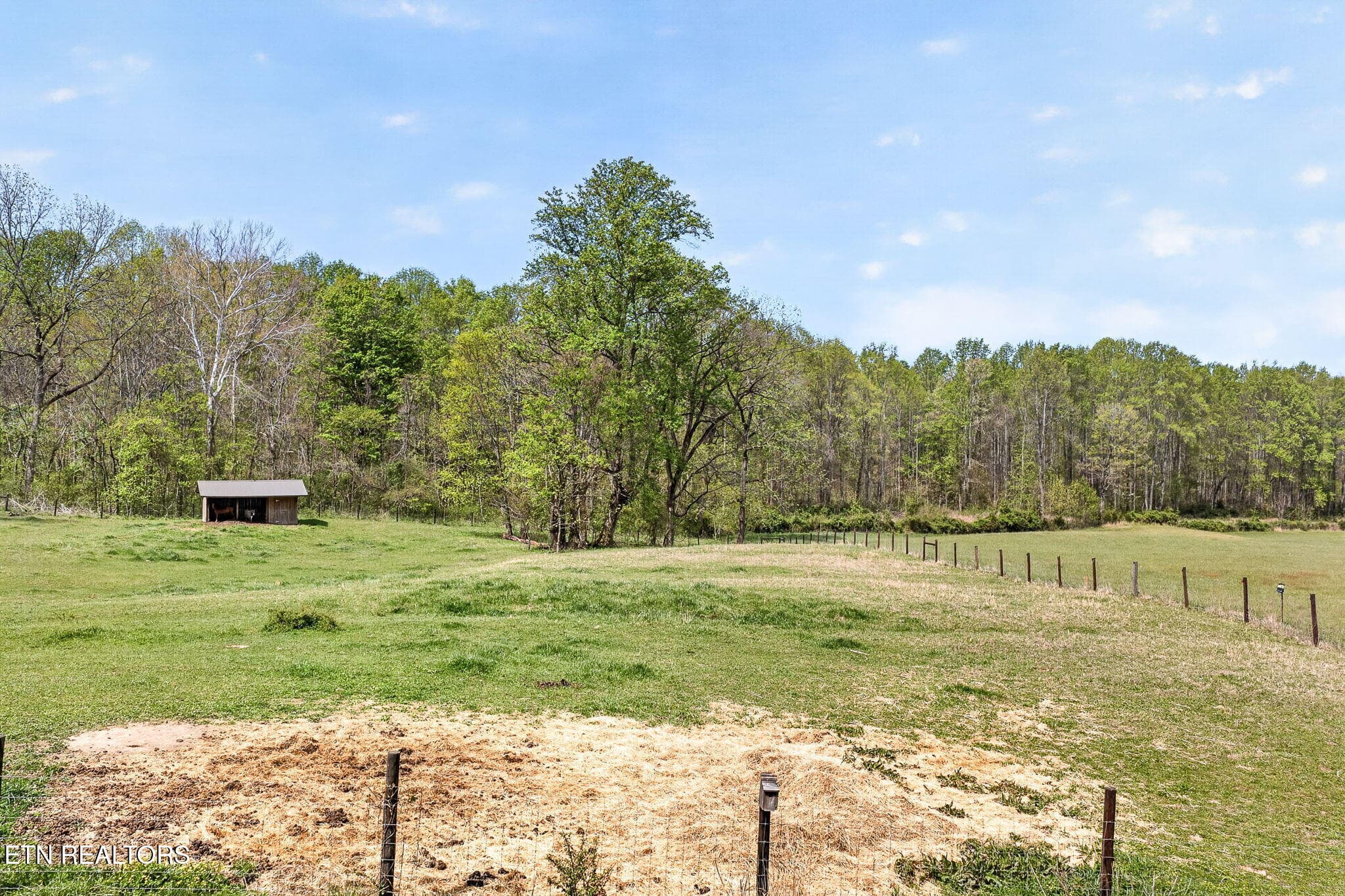 14-web-or-mls-1218 Moody Rd_069_TNPC - 1218 Moody Rd, Byrdstown, TN 38549, Byrdstown