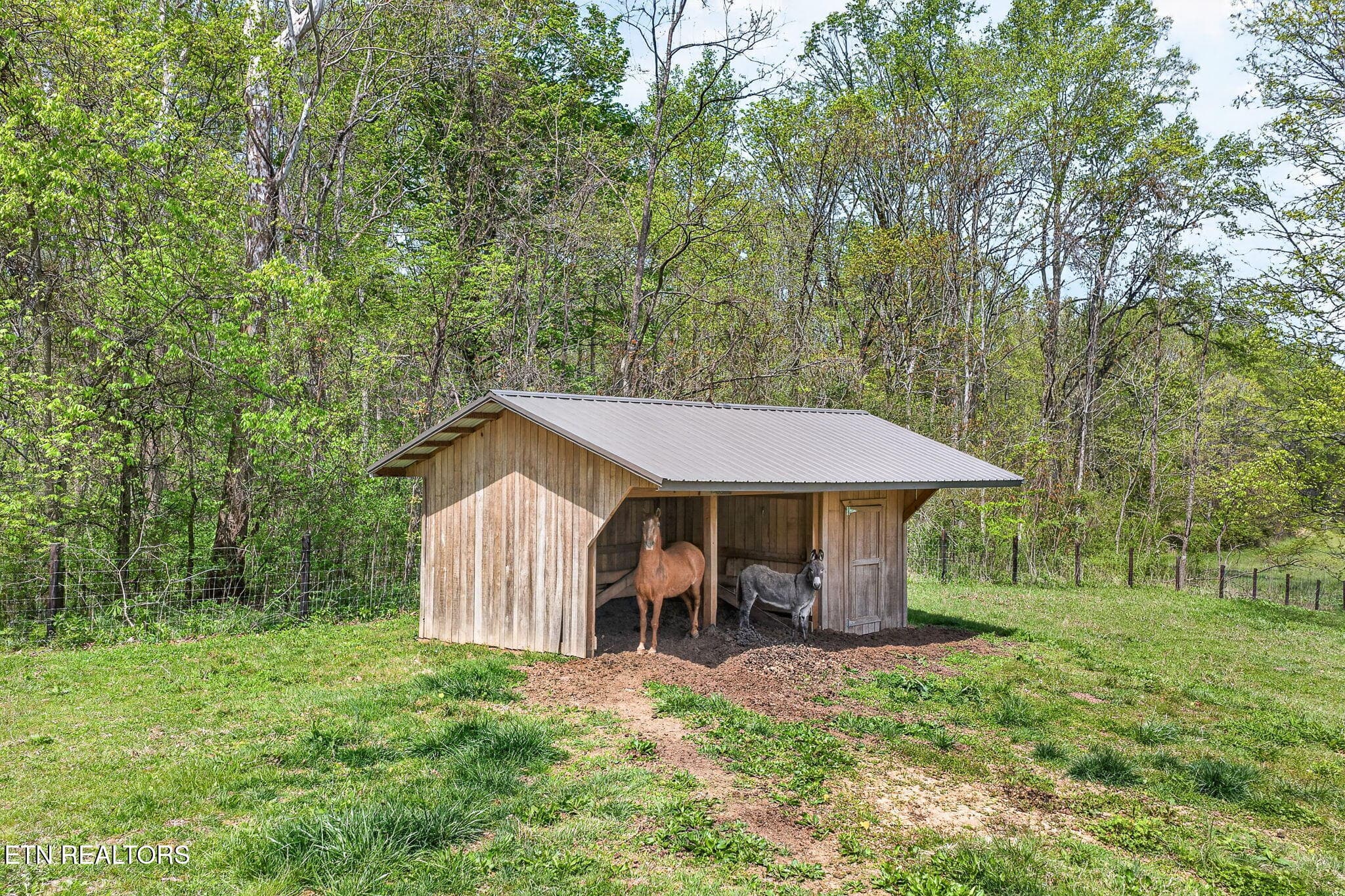 15-web-or-mls-1218 Moody Rd_073_TNPC - 1218 Moody Rd, Byrdstown, TN 38549, Byrdstown