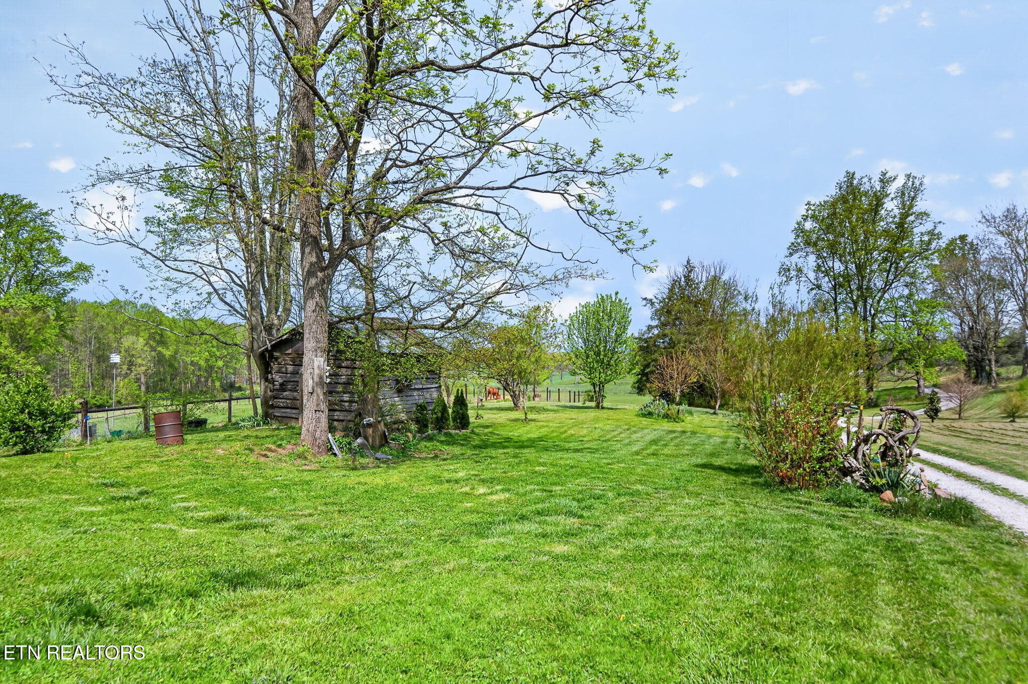 36-web-or-mls-1218 Moody Rd_187_TNPC - 1218 Moody Rd, Byrdstown, TN 38549, Byrdstown