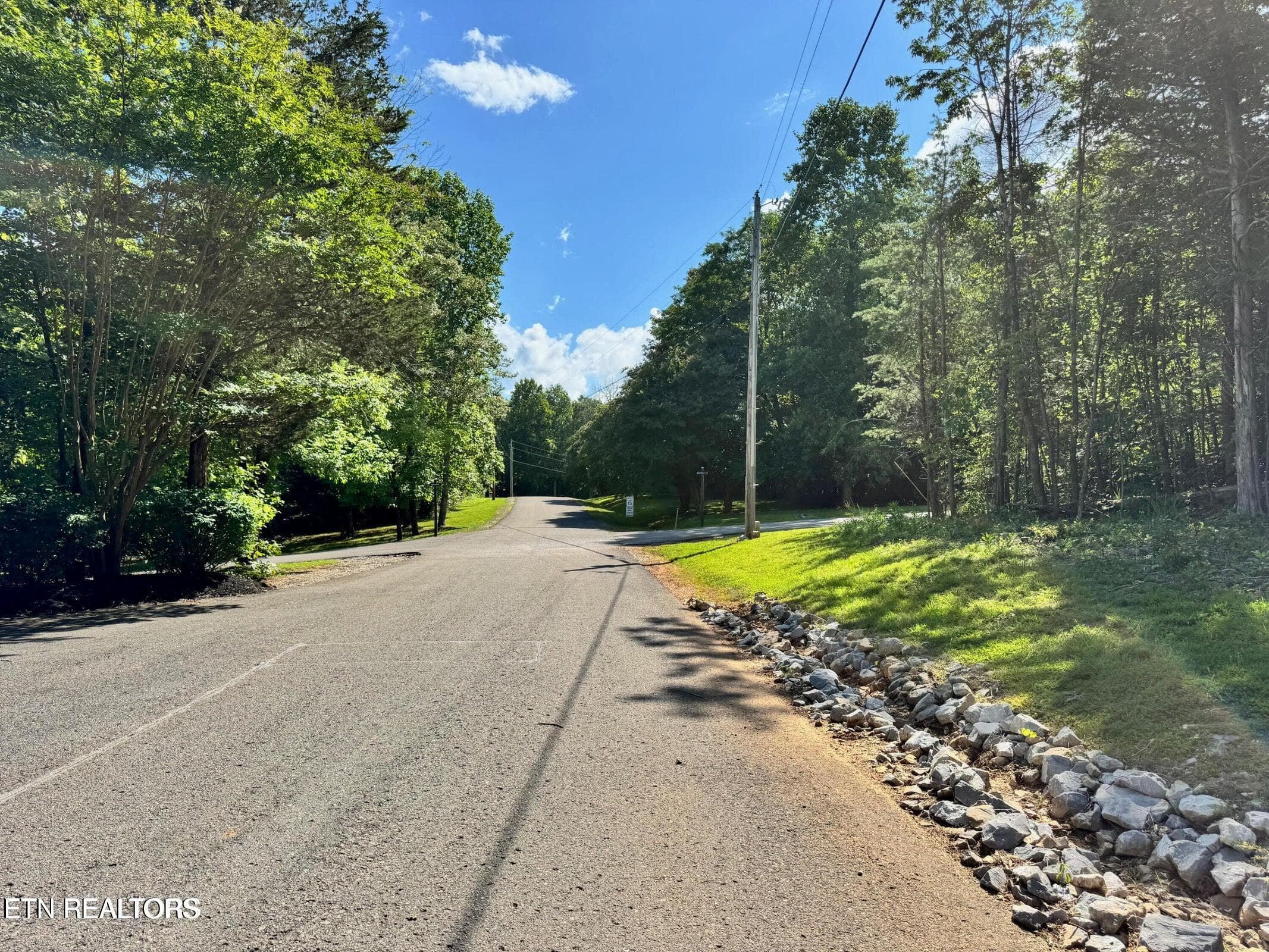 20250710210742785791000000-o - 626 N Pointe Tr, Allons, TN 38541