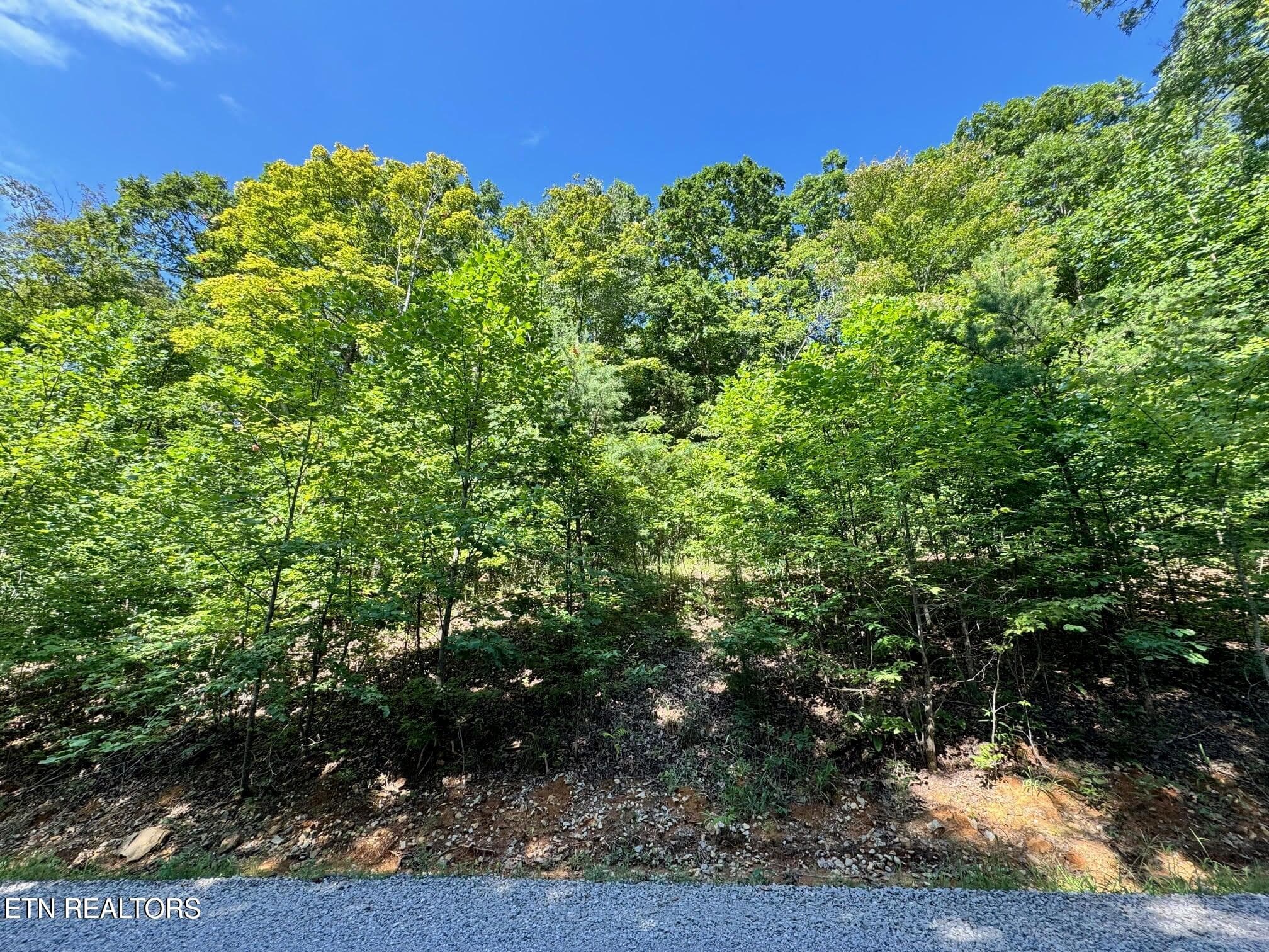 20250710211011686990000000-o - 626 N Pointe Tr, Allons, TN 38541