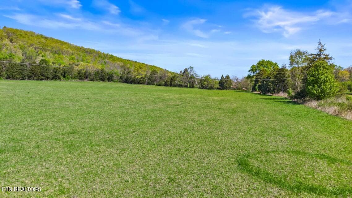 20250410172529490420000000-o - 500 Dogtown Rd, Ten Mile, TN 37880