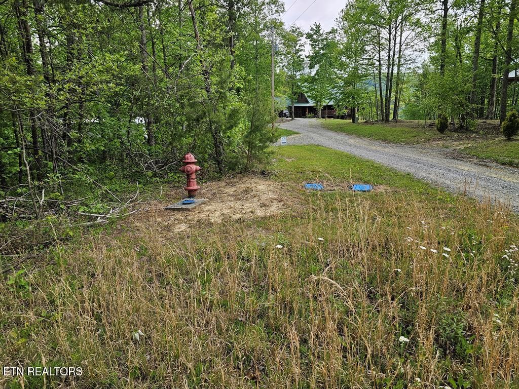 218793_7 - 35309 Highland Ridge Tr, Crawford, TN 38554, Crawford