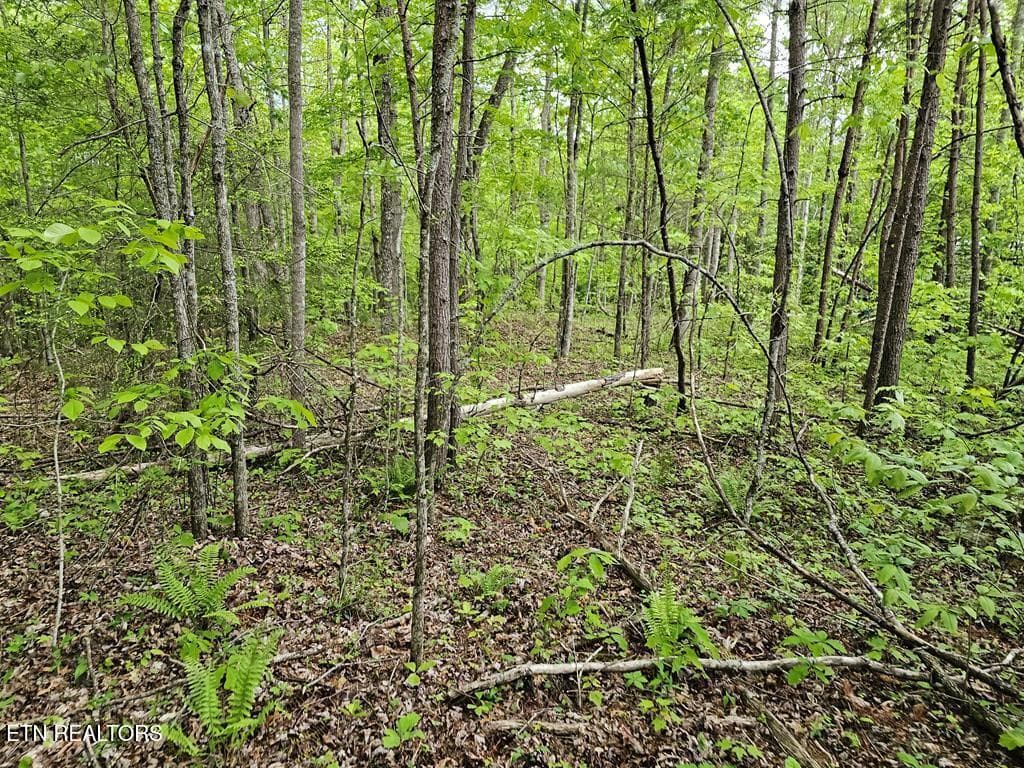 218793_8 - 35309 Highland Ridge Tr, Crawford, TN 38554, Crawford