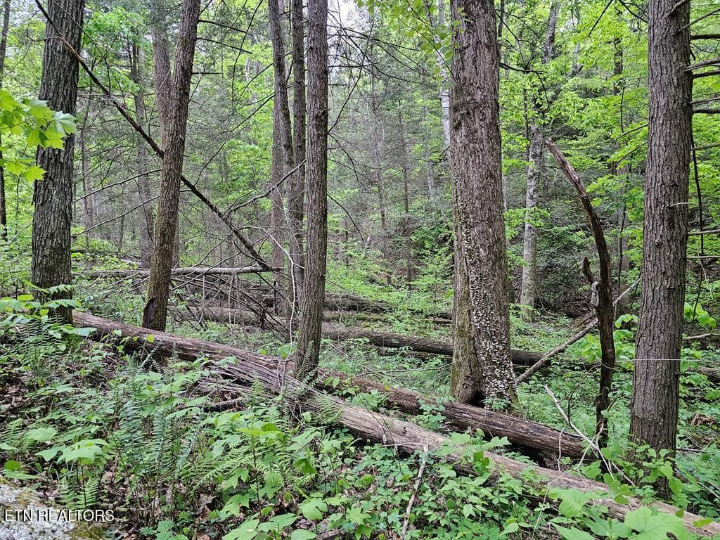 218793_11 - 35309 Highland Ridge Tr, Crawford, TN 38554, Crawford