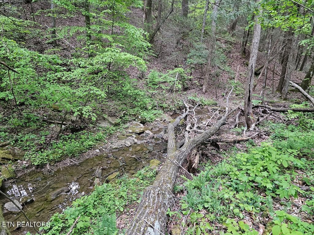 218793_13 - 35309 Highland Ridge Tr, Crawford, TN 38554, Crawford