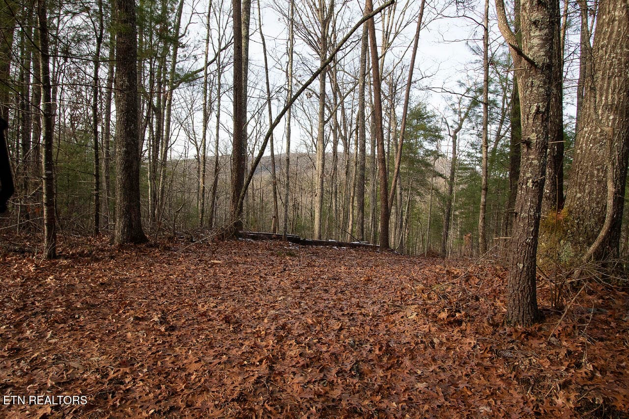Homesites with Views of Blackberry - 2050 E Millers Cove Rd, Walland, TN 37886