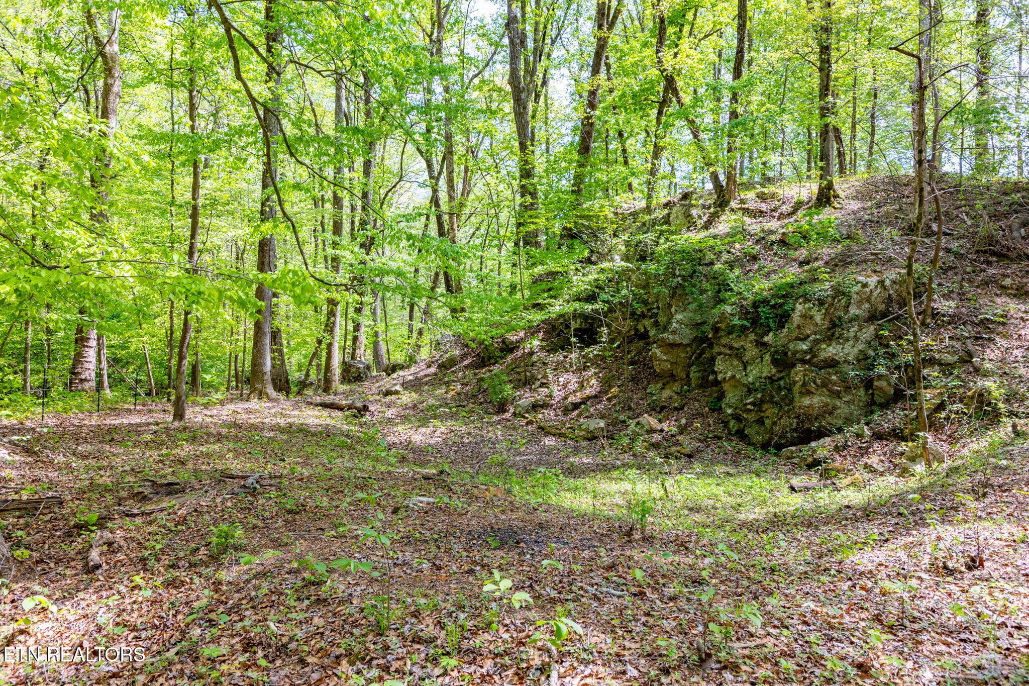8 ac +/-Tollgate Rd, Rockwood, TN 37854