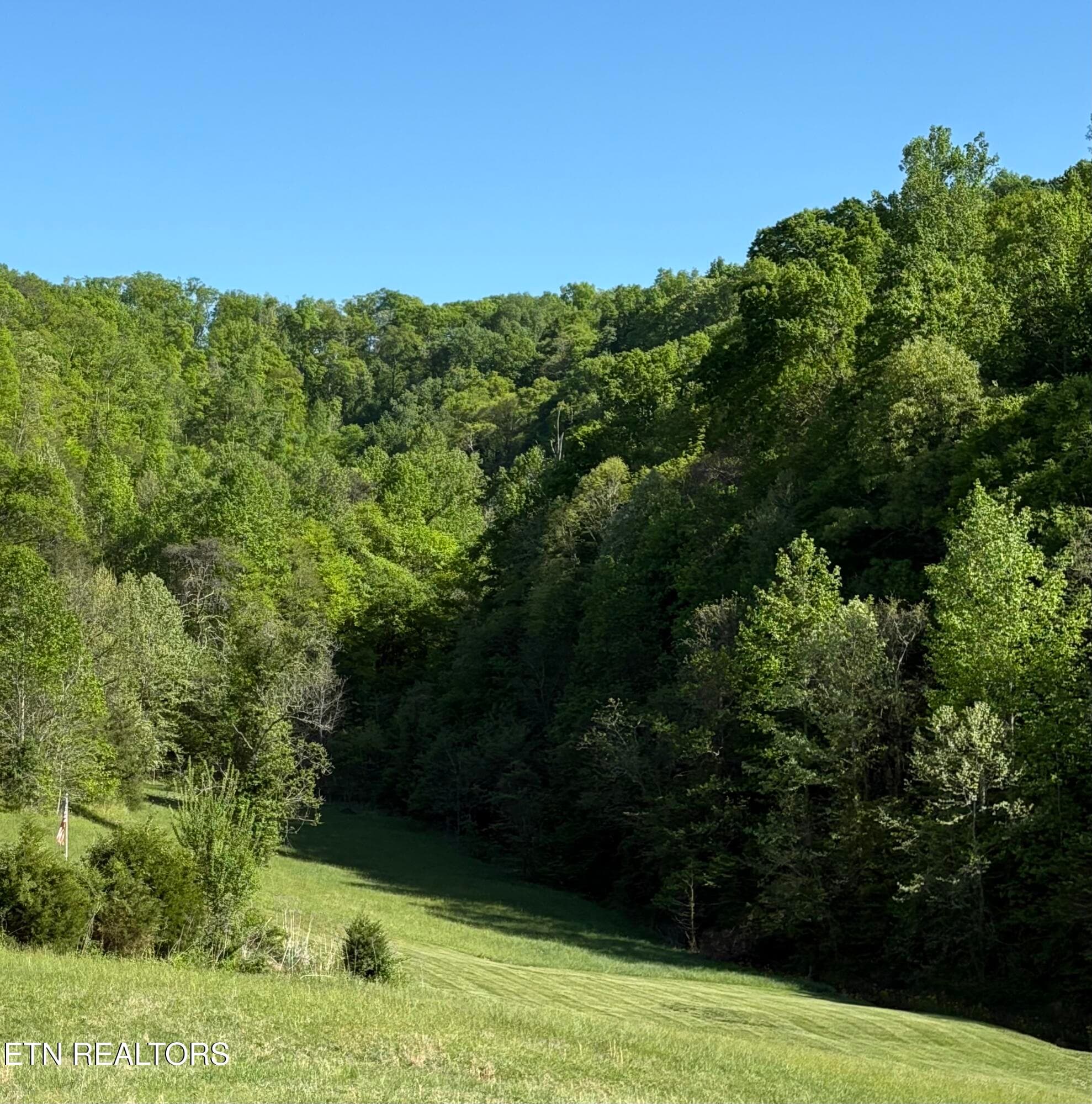 IMG_8479 - lot 485 Russell Brothers Rd, Sharps Chapel, TN 37866, Sharps Chapel