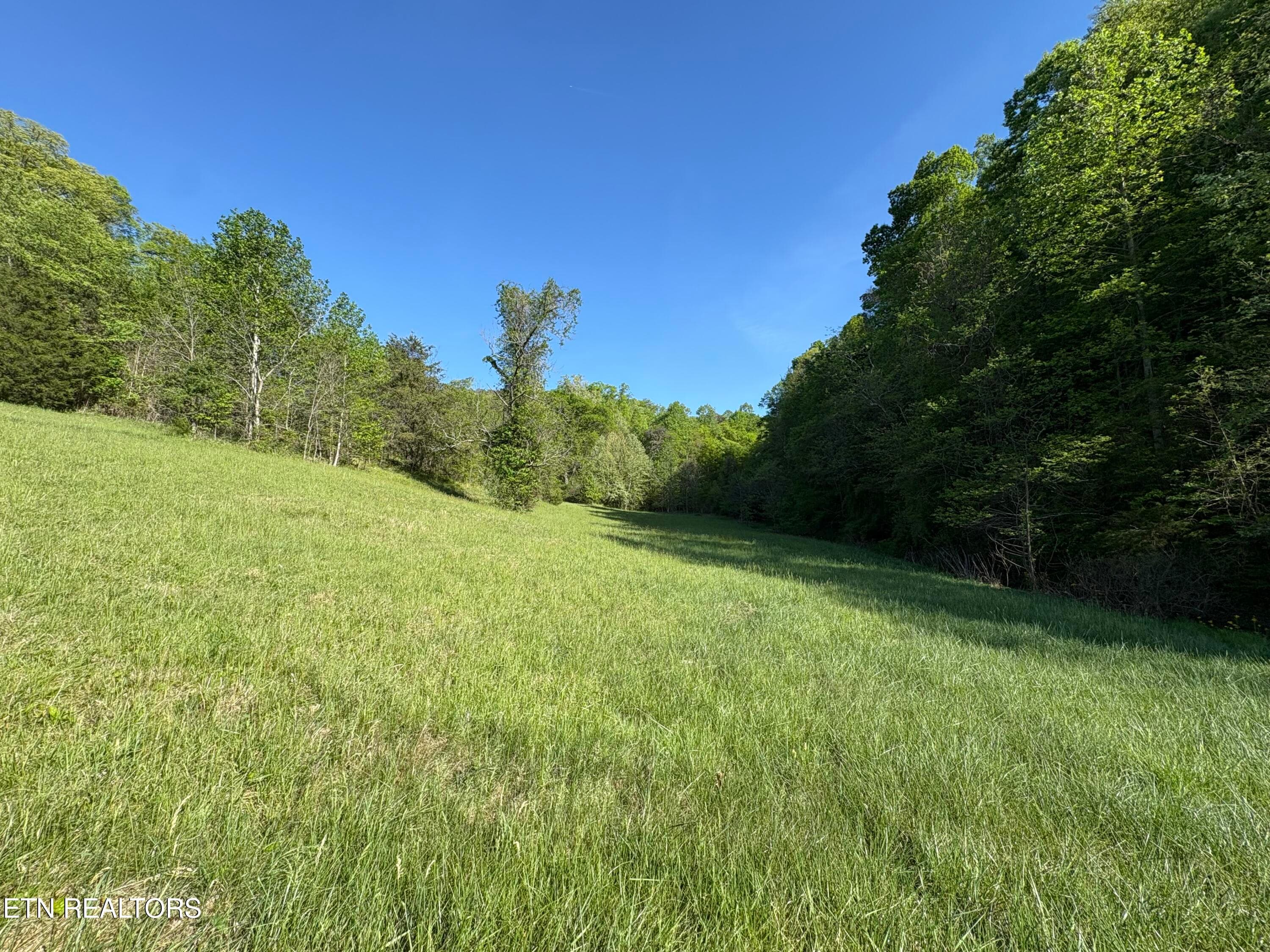 IMG_8480 - lot 485 Russell Brothers Rd, Sharps Chapel, TN 37866, Sharps Chapel