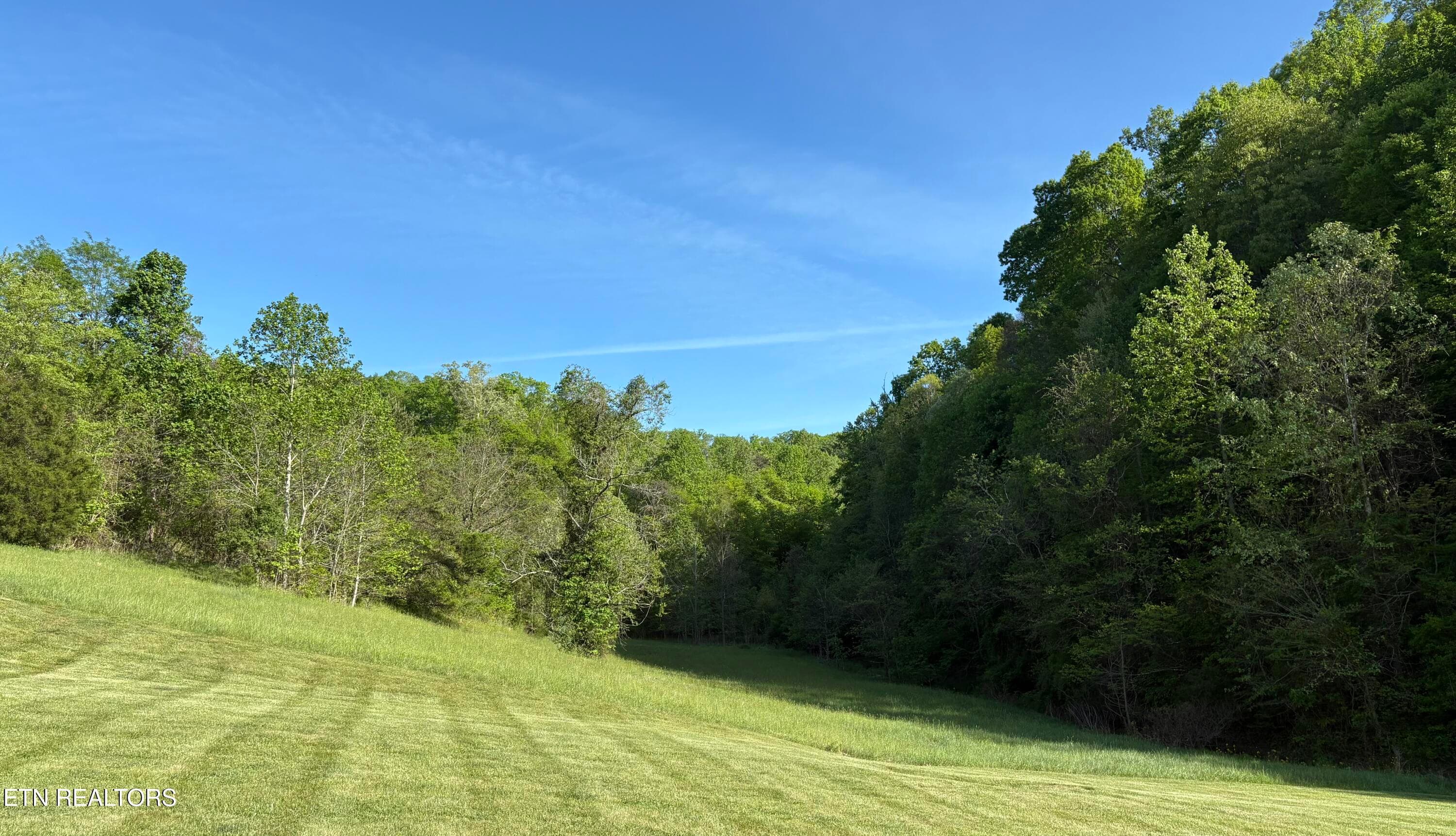 IMG_8558 - lot 485 Russell Brothers Rd, Sharps Chapel, TN 37866, Sharps Chapel