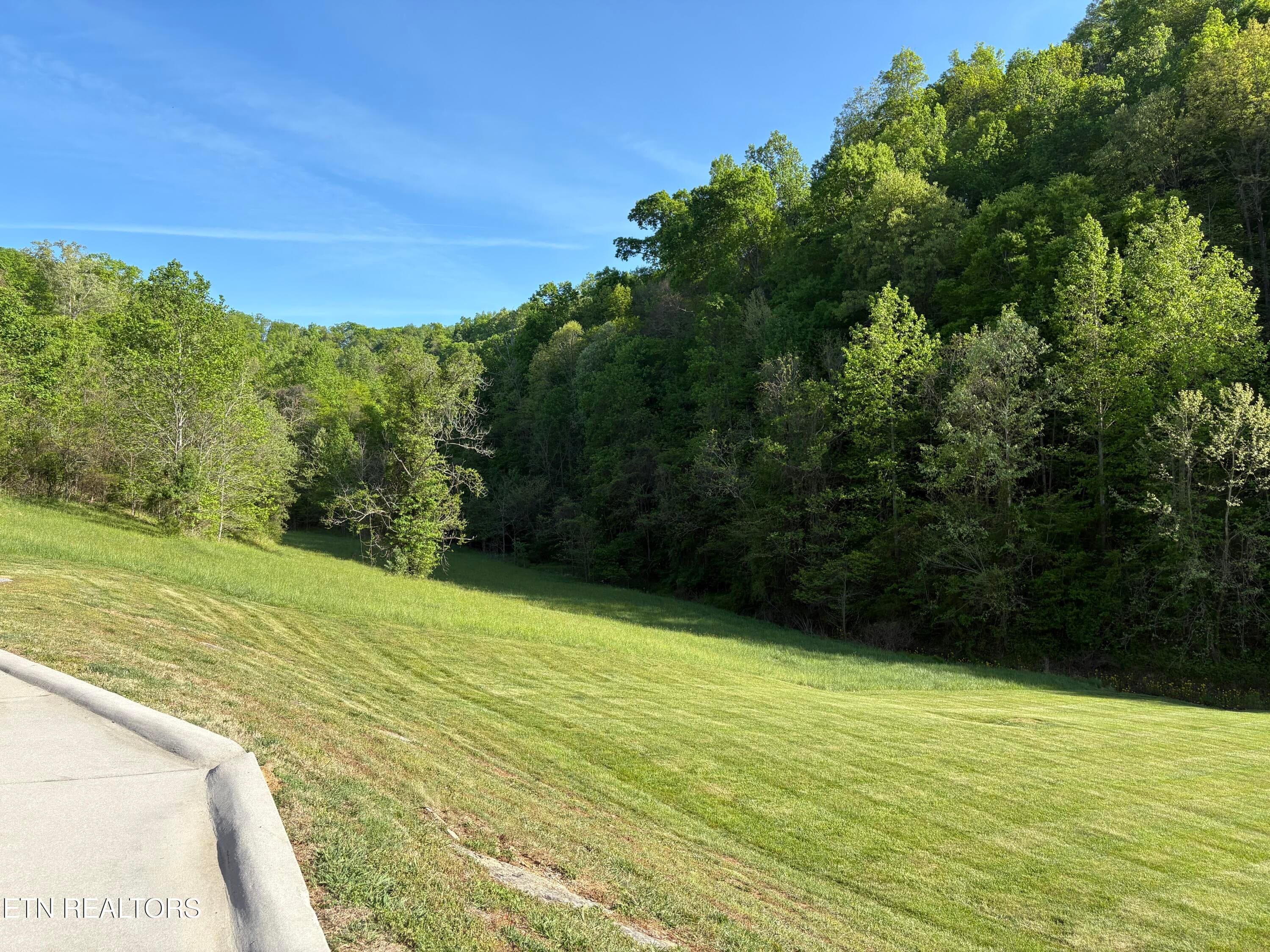IMG_8562 - lot 485 Russell Brothers Rd, Sharps Chapel, TN 37866, Sharps Chapel