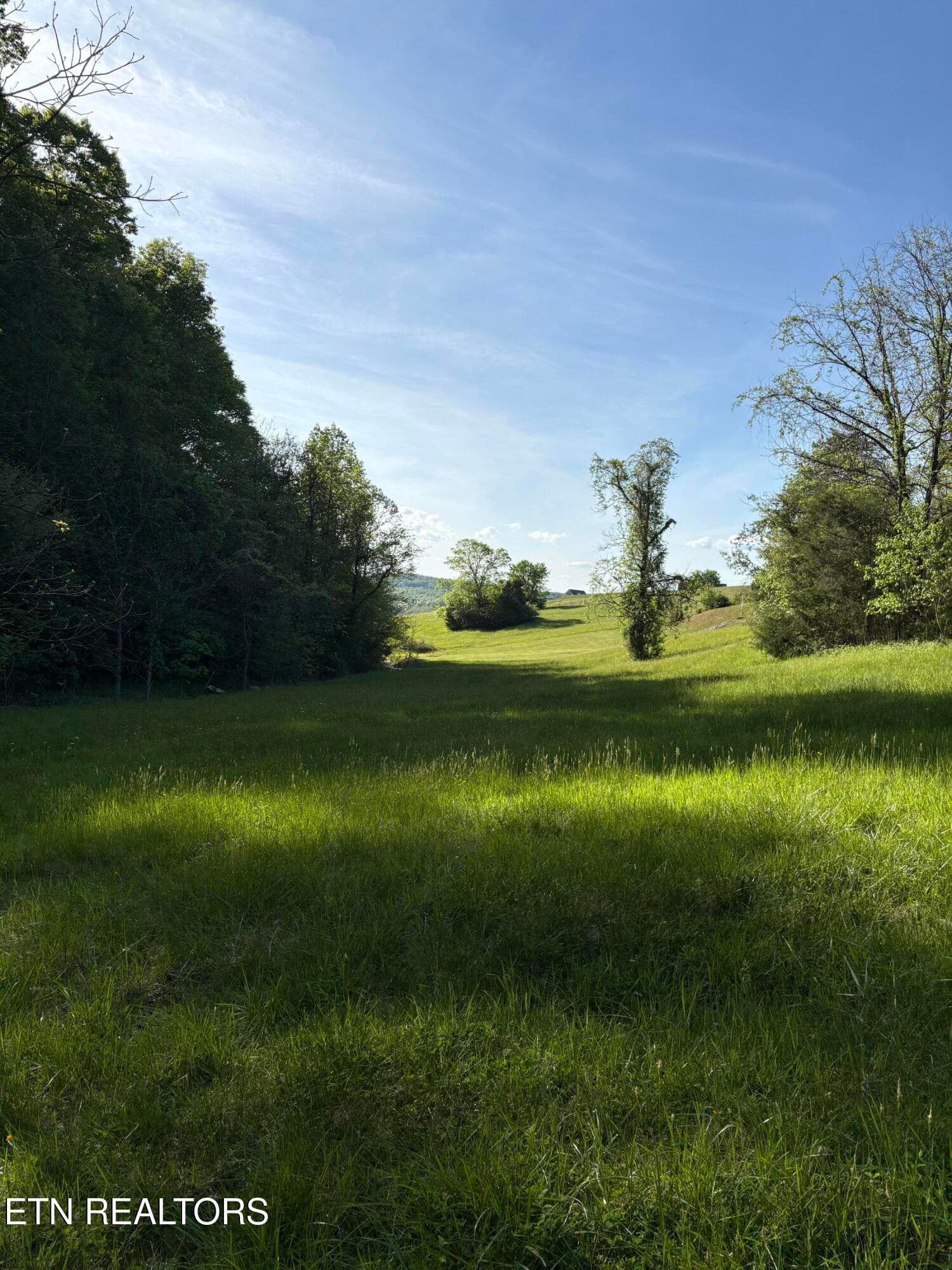 IMG_8511 - lot 485 Russell Brothers Rd, Sharps Chapel, TN 37866, Sharps Chapel