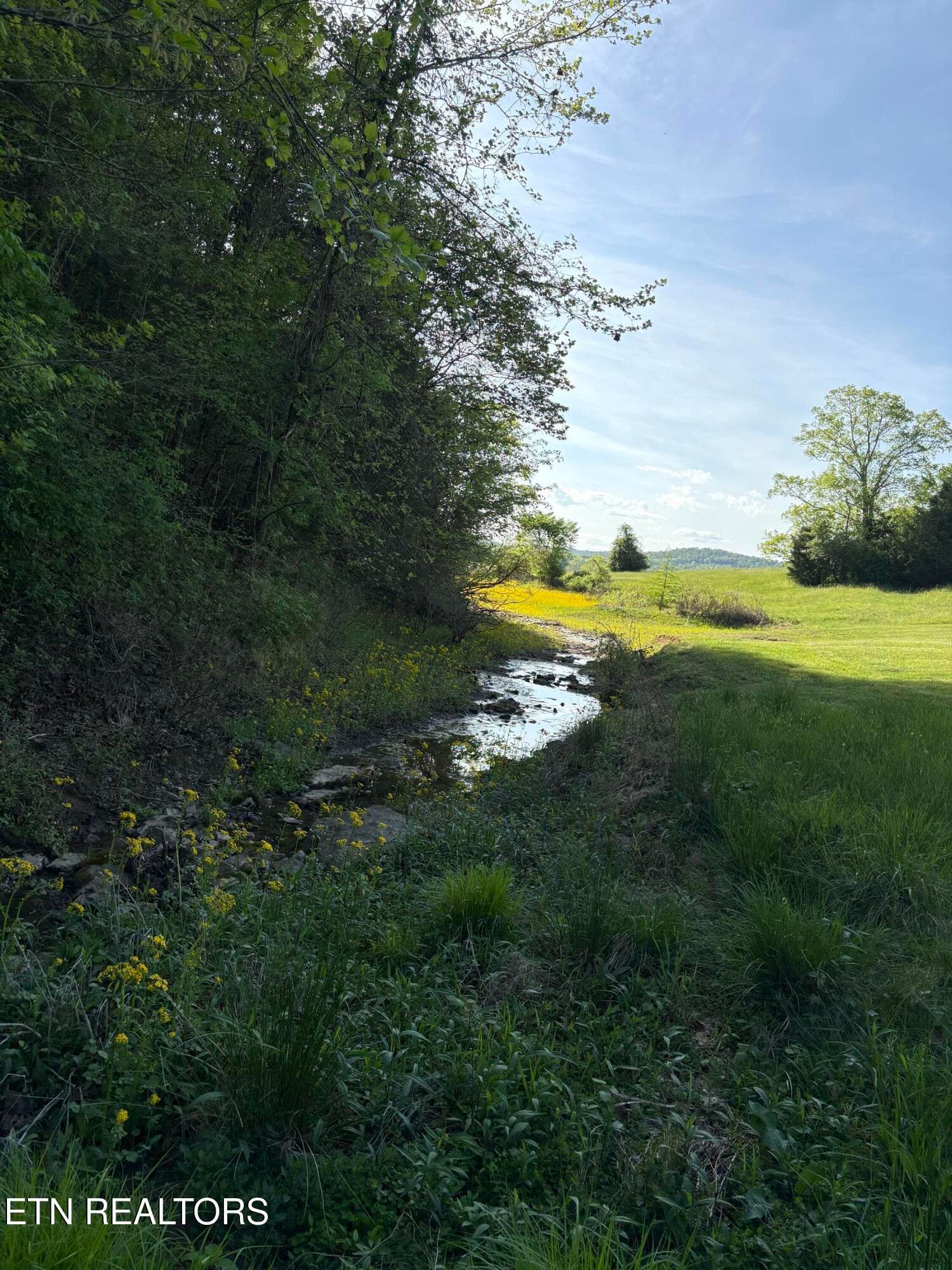IMG_8527 - lot 485 Russell Brothers Rd, Sharps Chapel, TN 37866, Sharps Chapel