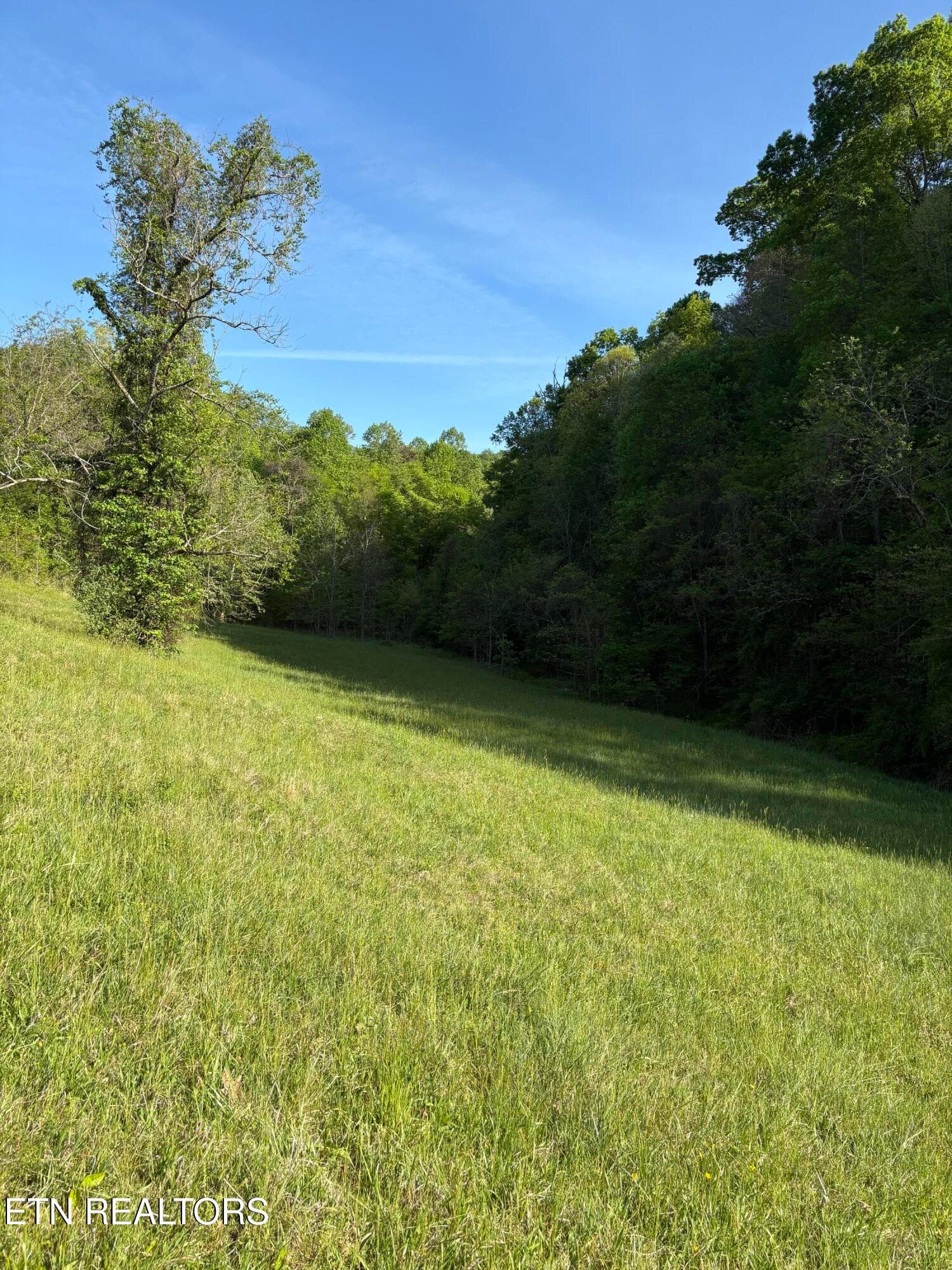 IMG_8555 - lot 485 Russell Brothers Rd, Sharps Chapel, TN 37866, Sharps Chapel