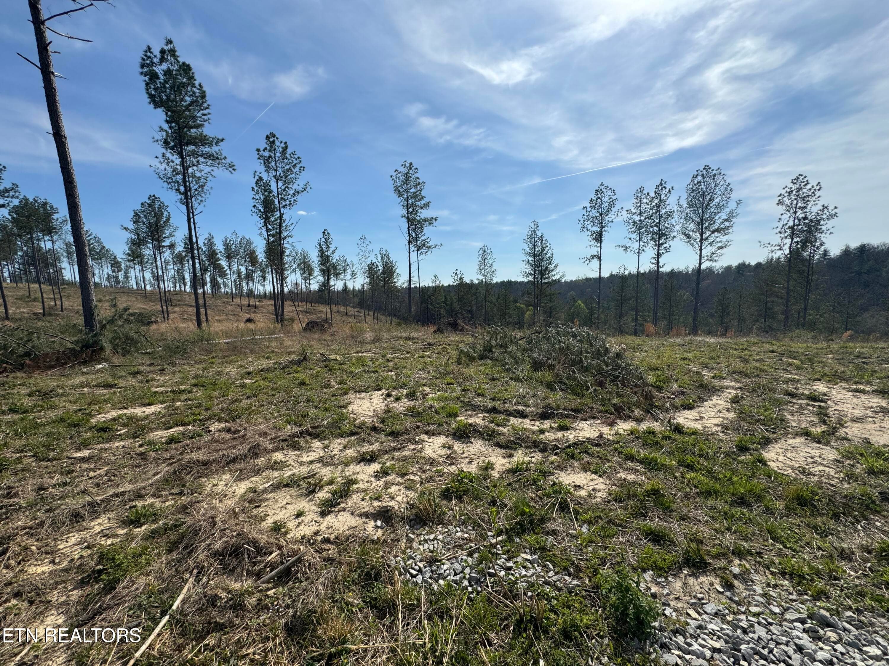 IMG_3228 - Lot #1 Burrville Rd, Sunbright, TN 37872