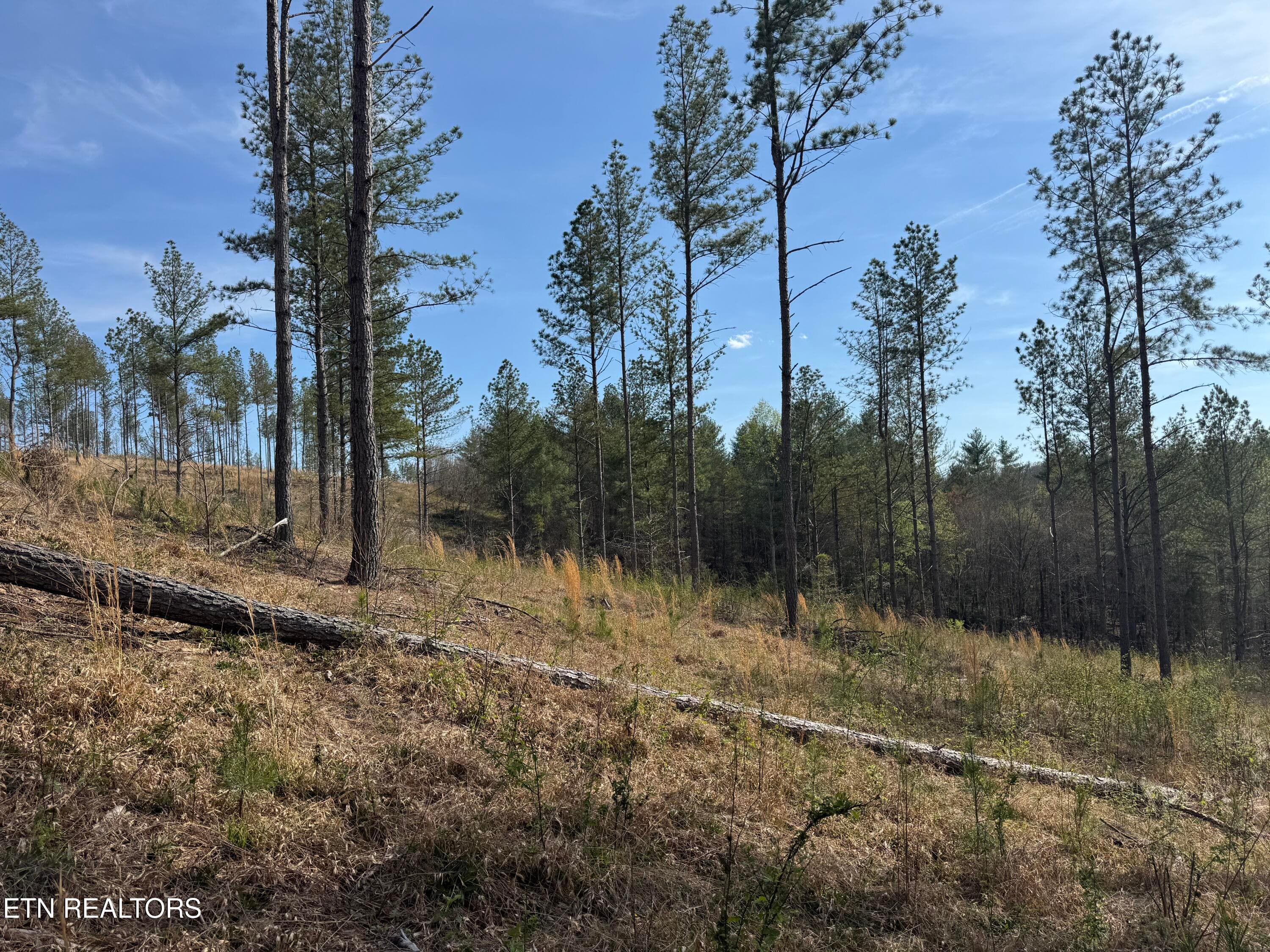 IMG_3234 - Lot #1 Burrville Rd, Sunbright, TN 37872