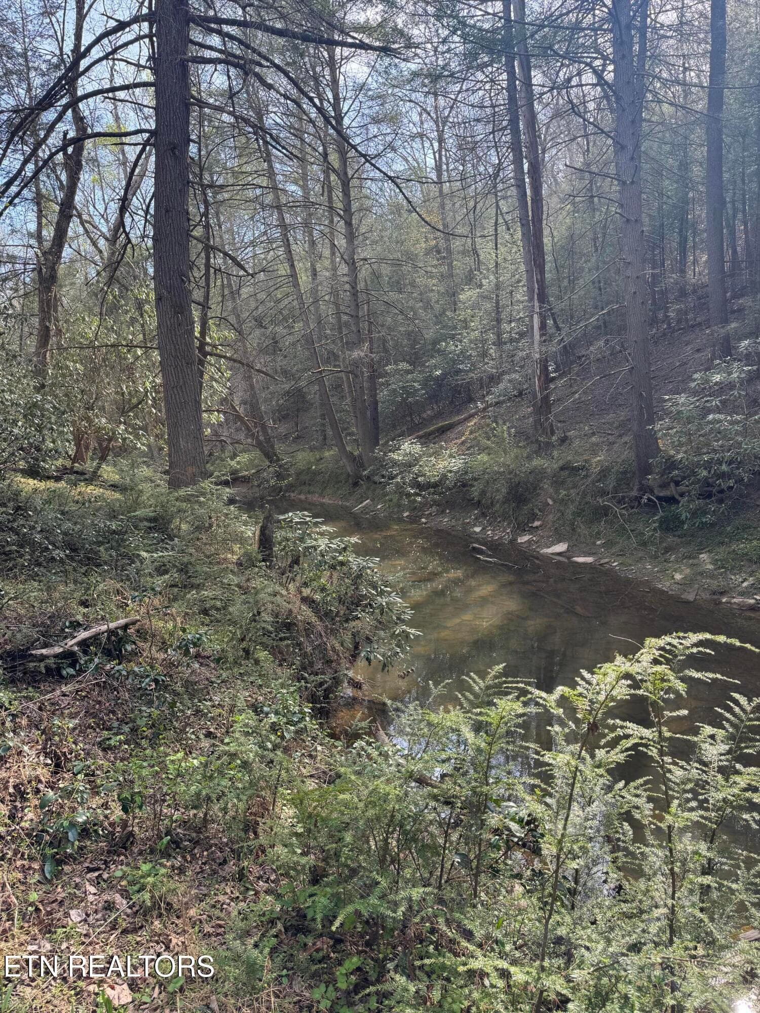 IMG_3241 - Lot #1 Burrville Rd, Sunbright, TN 37872