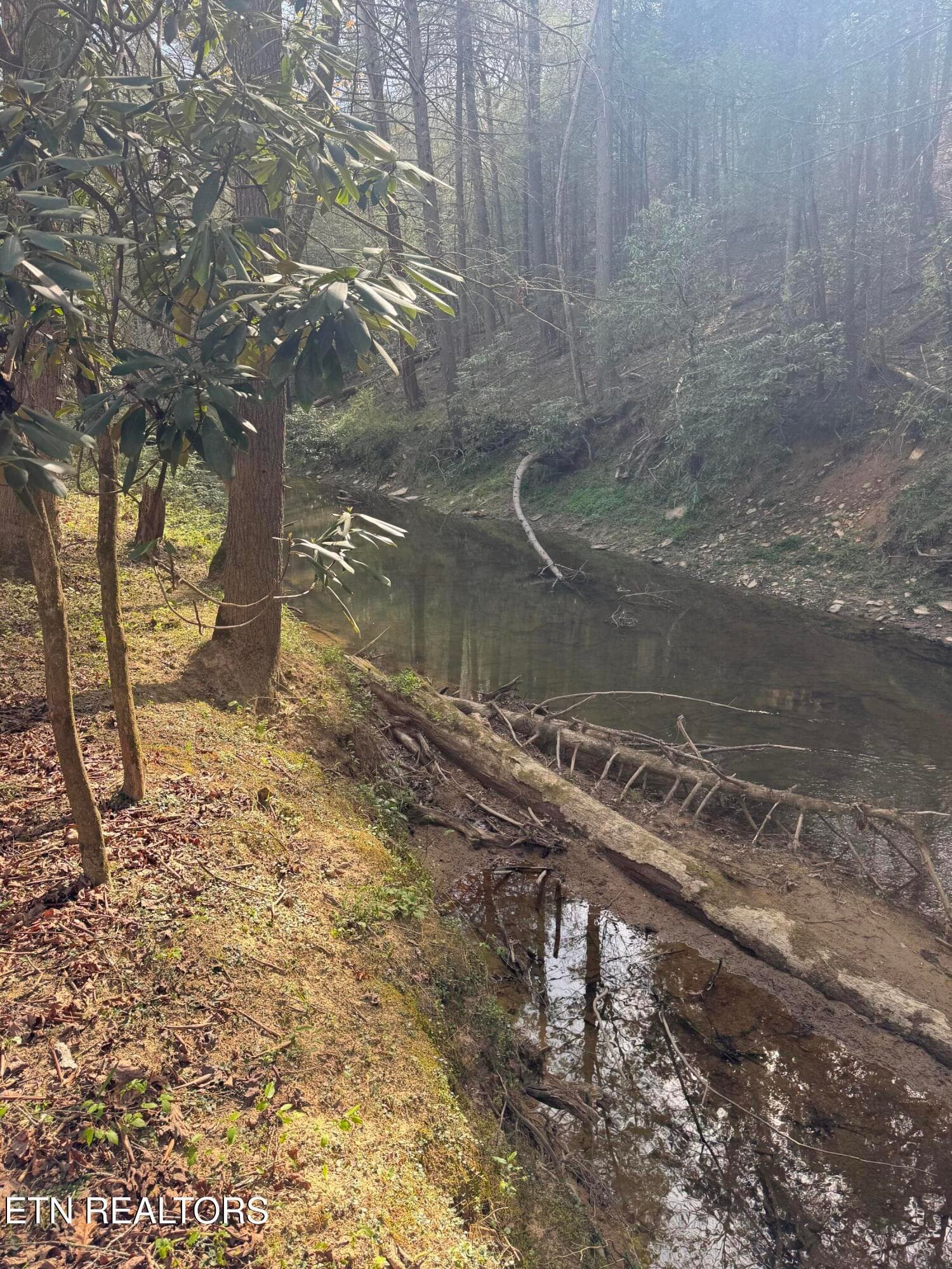 IMG_3240 - Lot #1 Burrville Rd, Sunbright, TN 37872