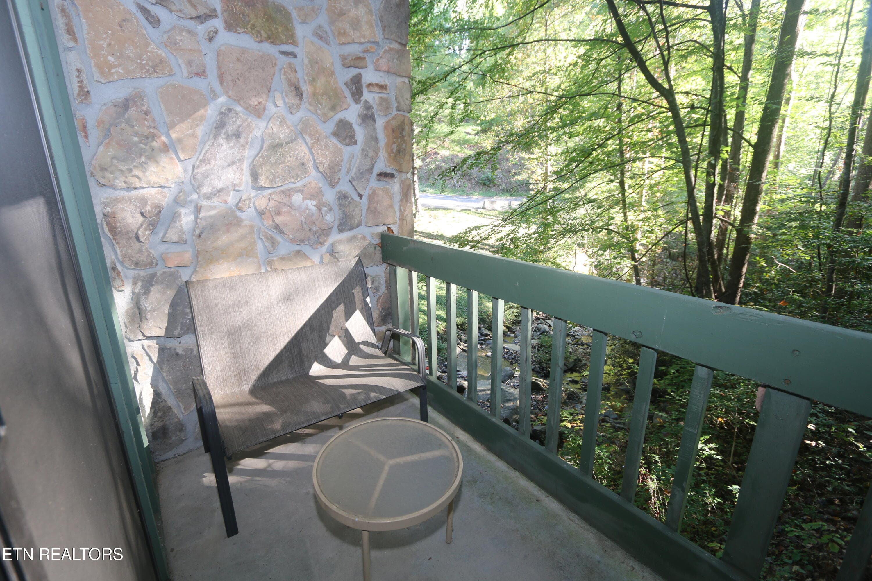 IMG_2613 - 1435 Wiley Oakley Drive APT 158, Gatlinburg, TN 37738, Gatlinburg