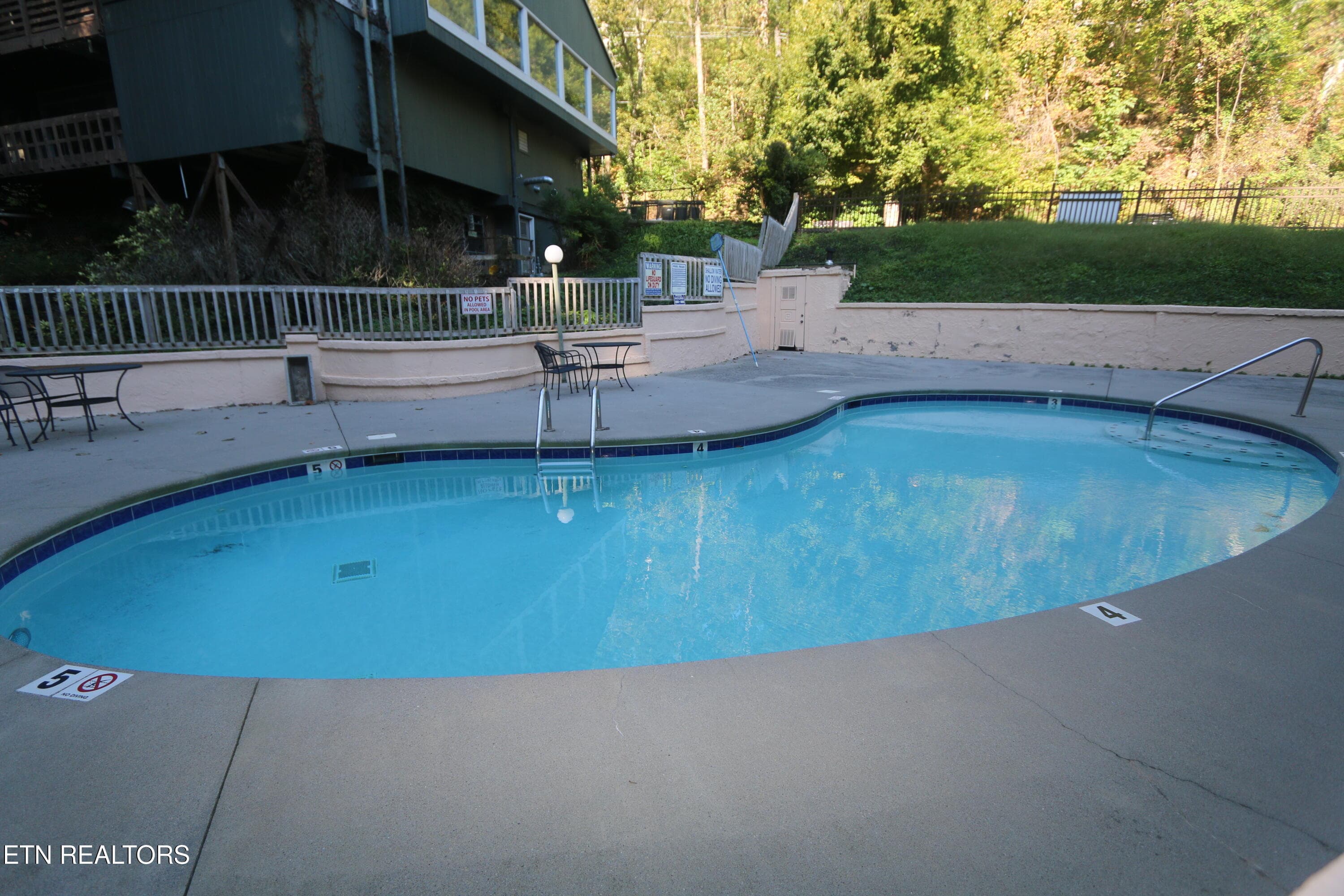 IMG_2629 - 1435 Wiley Oakley Drive APT 158, Gatlinburg, TN 37738, Gatlinburg