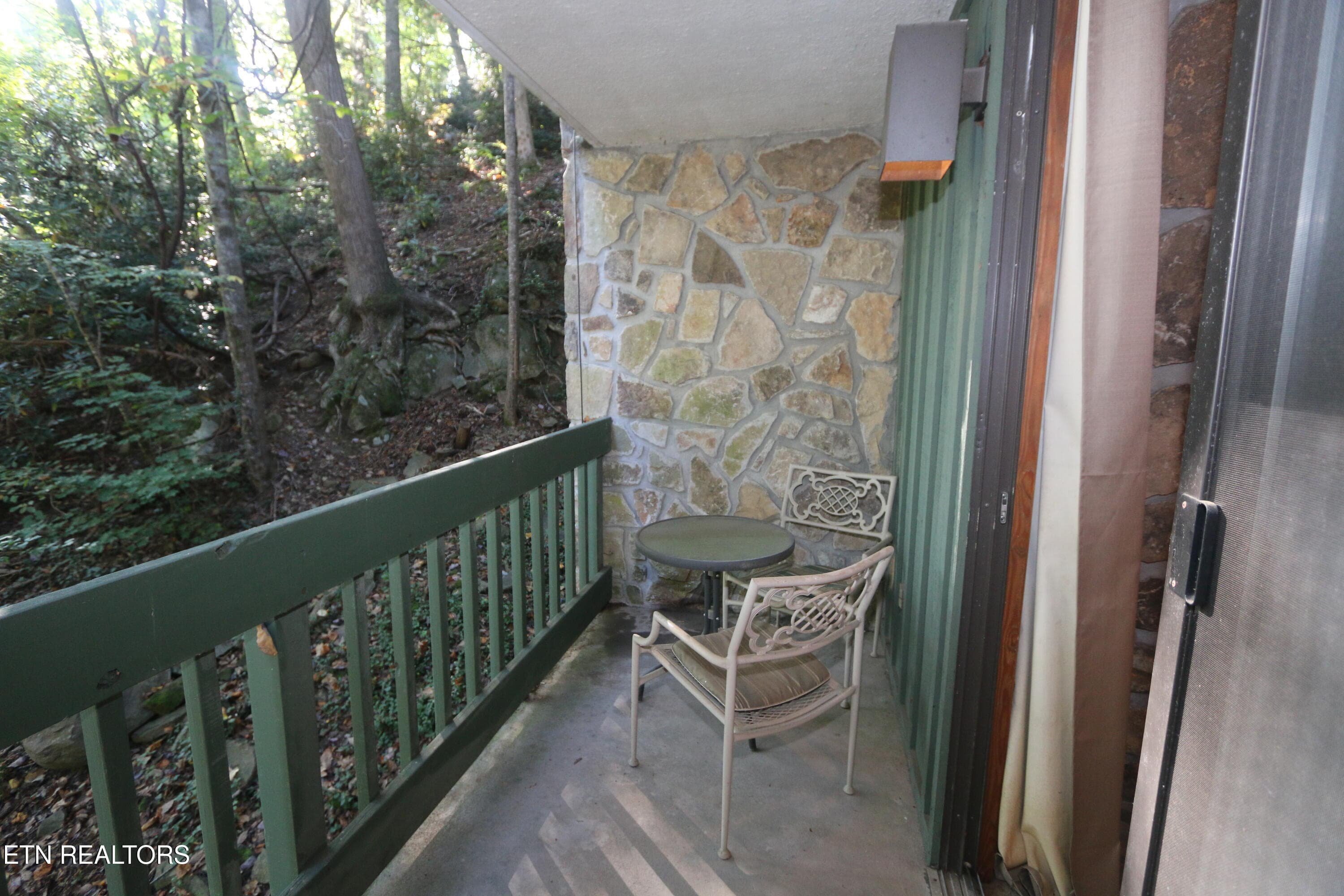 IMG_2614 - 1435 Wiley Oakley Drive APT 158, Gatlinburg, TN 37738, Gatlinburg