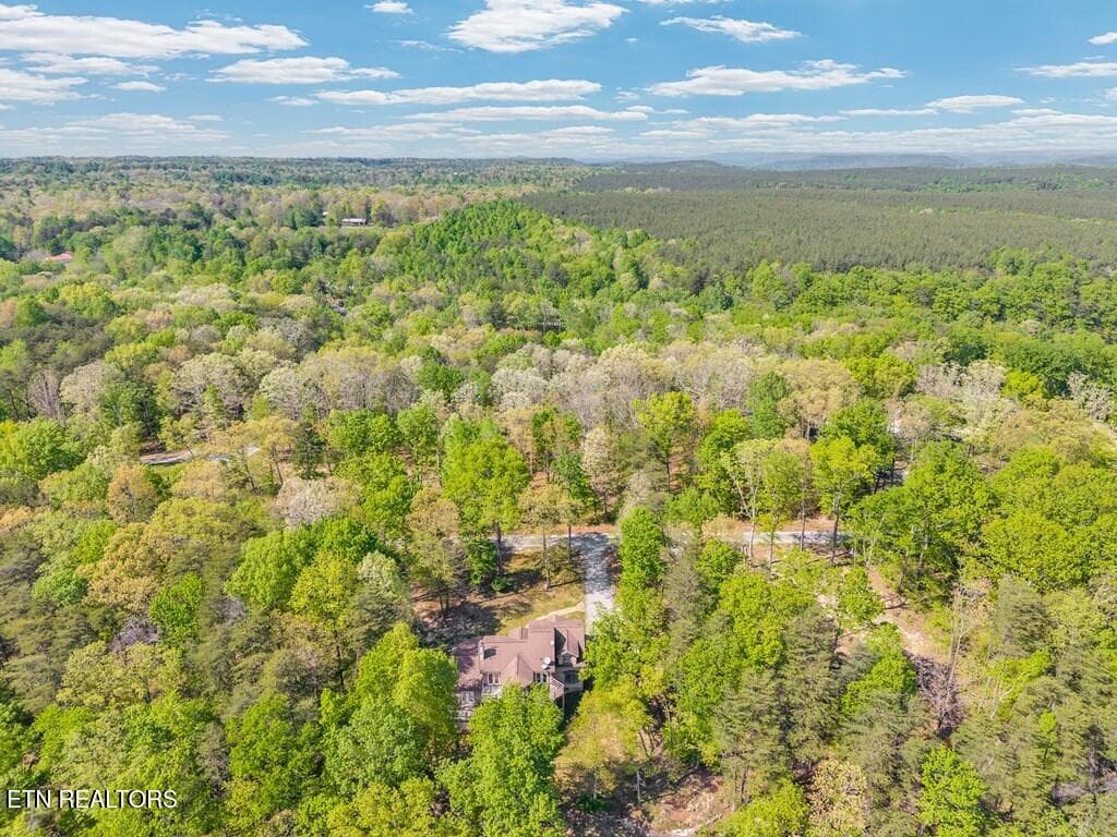 243717_2 - 160 Eagles Bluff Circle, Spencer, TN 38585