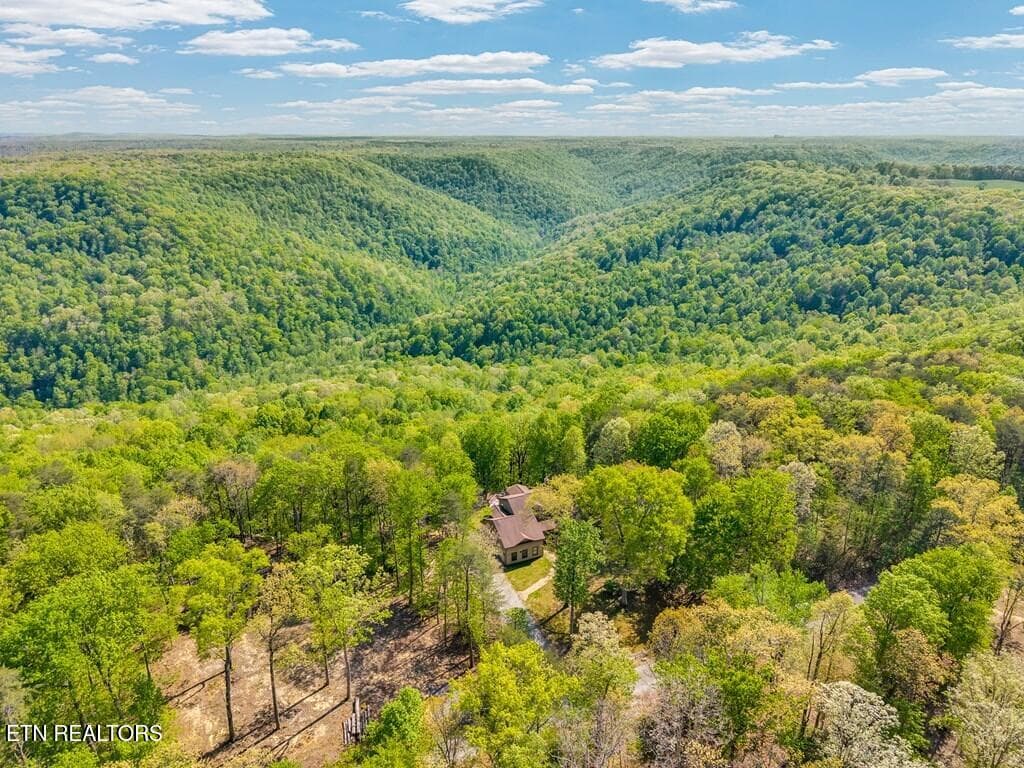 243717_3 - 160 Eagles Bluff Circle, Spencer, TN 38585