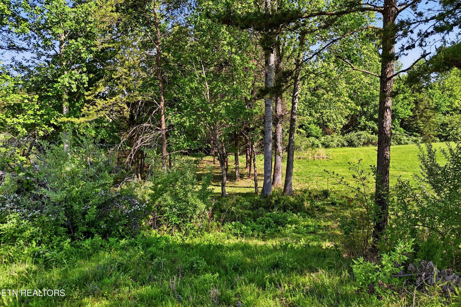 28-261 White Swan Dr-28 - 261 White Swan Drive, Vonore, TN 37885