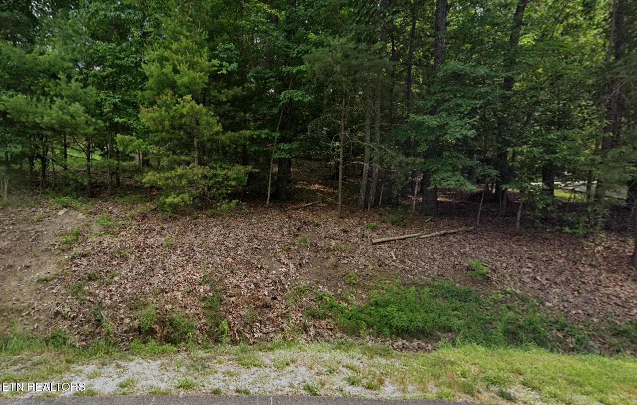 .40 acre lot - 36 Markham Terrace, Fairfield Glade, TN 38558