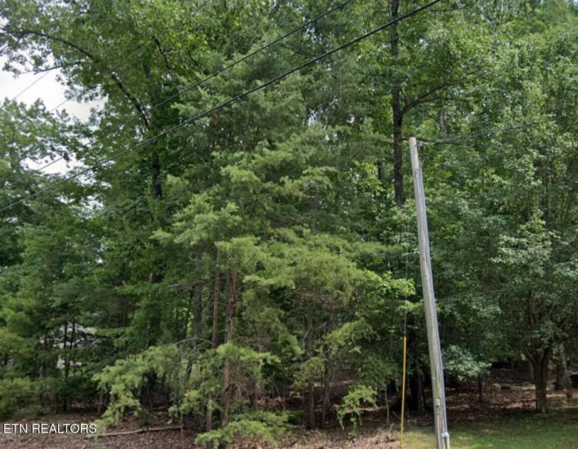 vacant lot - 36 Markham Terrace, Fairfield Glade, TN 38558