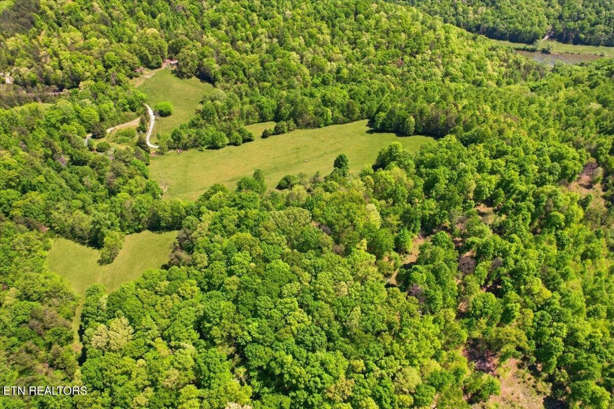 11-April_drone_photos_006 - 1297 Clinch River (EAST) Rd, Tazewell, TN 37879, Tazewell