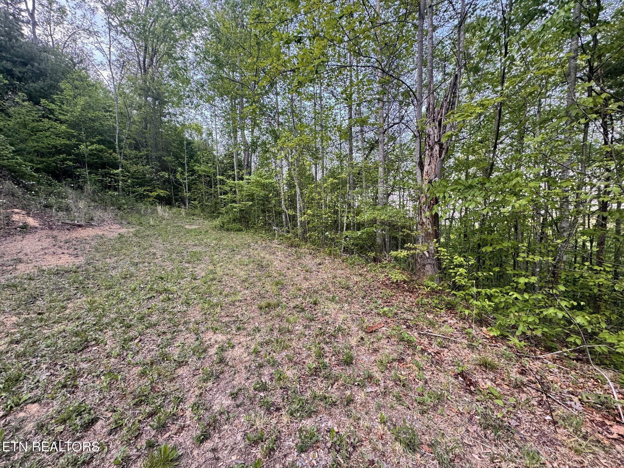 Potential House Site - Lot 41 Black Maple Way, Del Rio, TN 37727, Del Rio