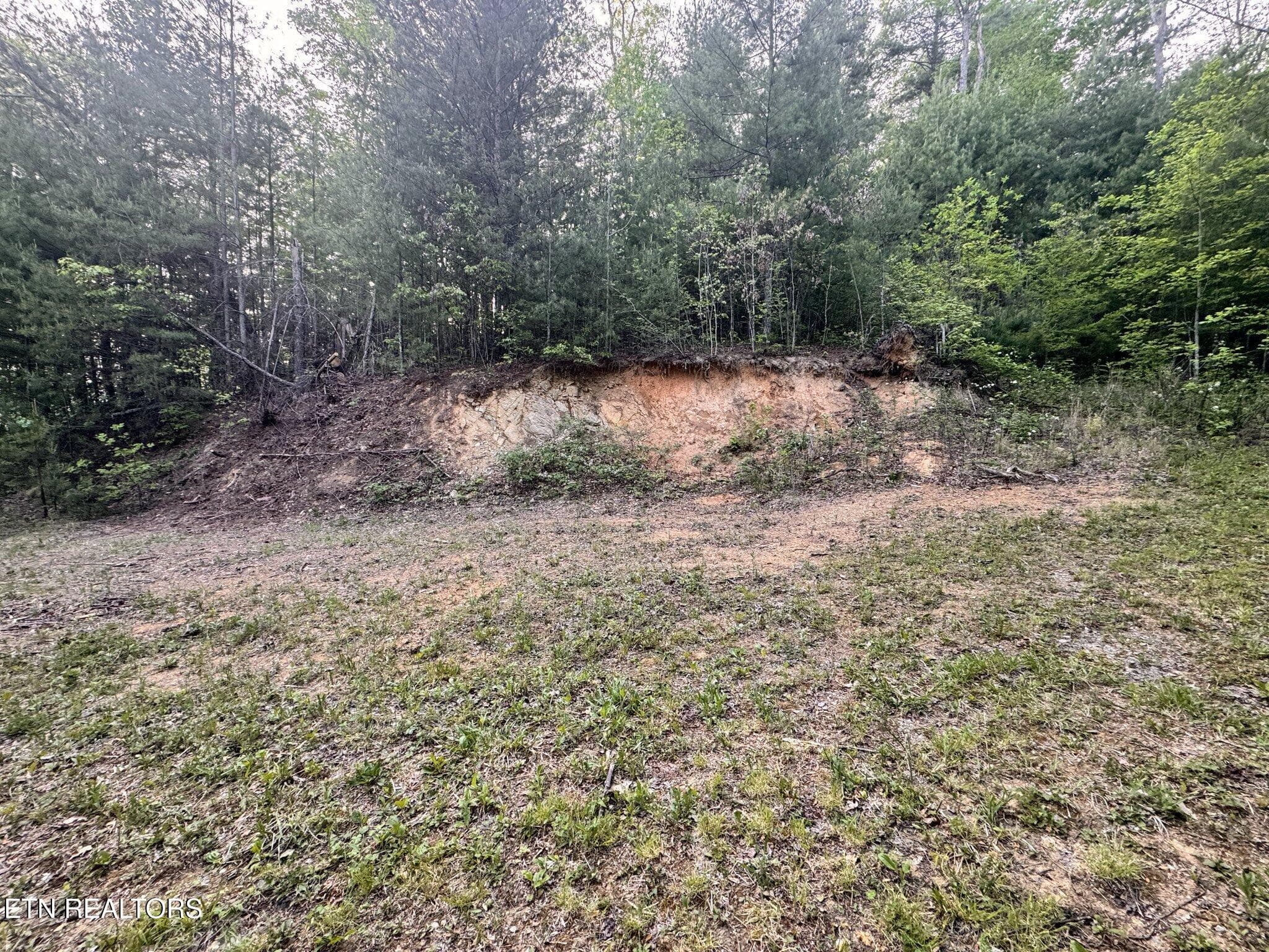 Potential House Site - Lot 41 Black Maple Way, Del Rio, TN 37727, Del Rio