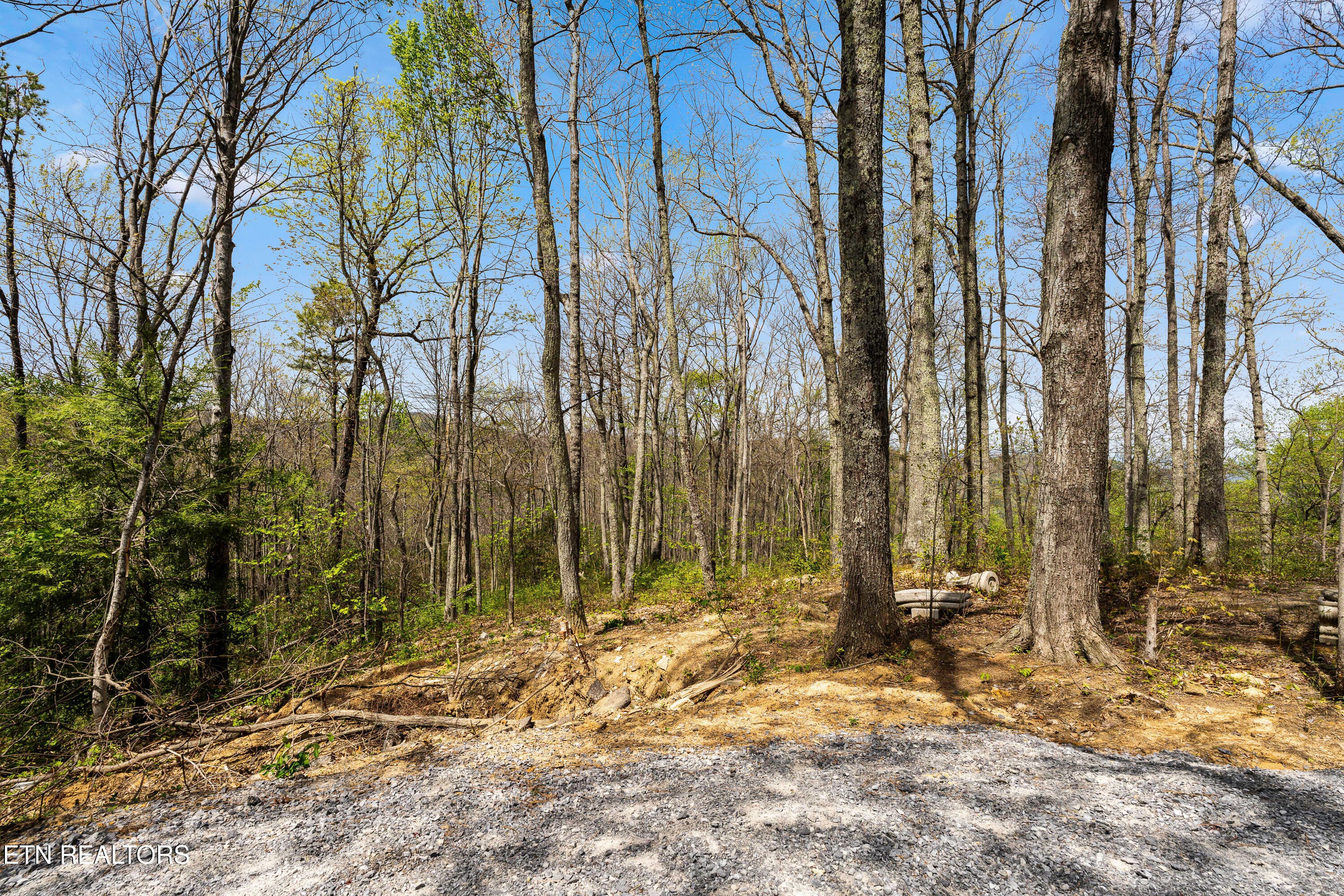 Lot 2 - additional parcel - 1066 Ski View Drive, Gatlinburg, TN 37738, Gatlinburg