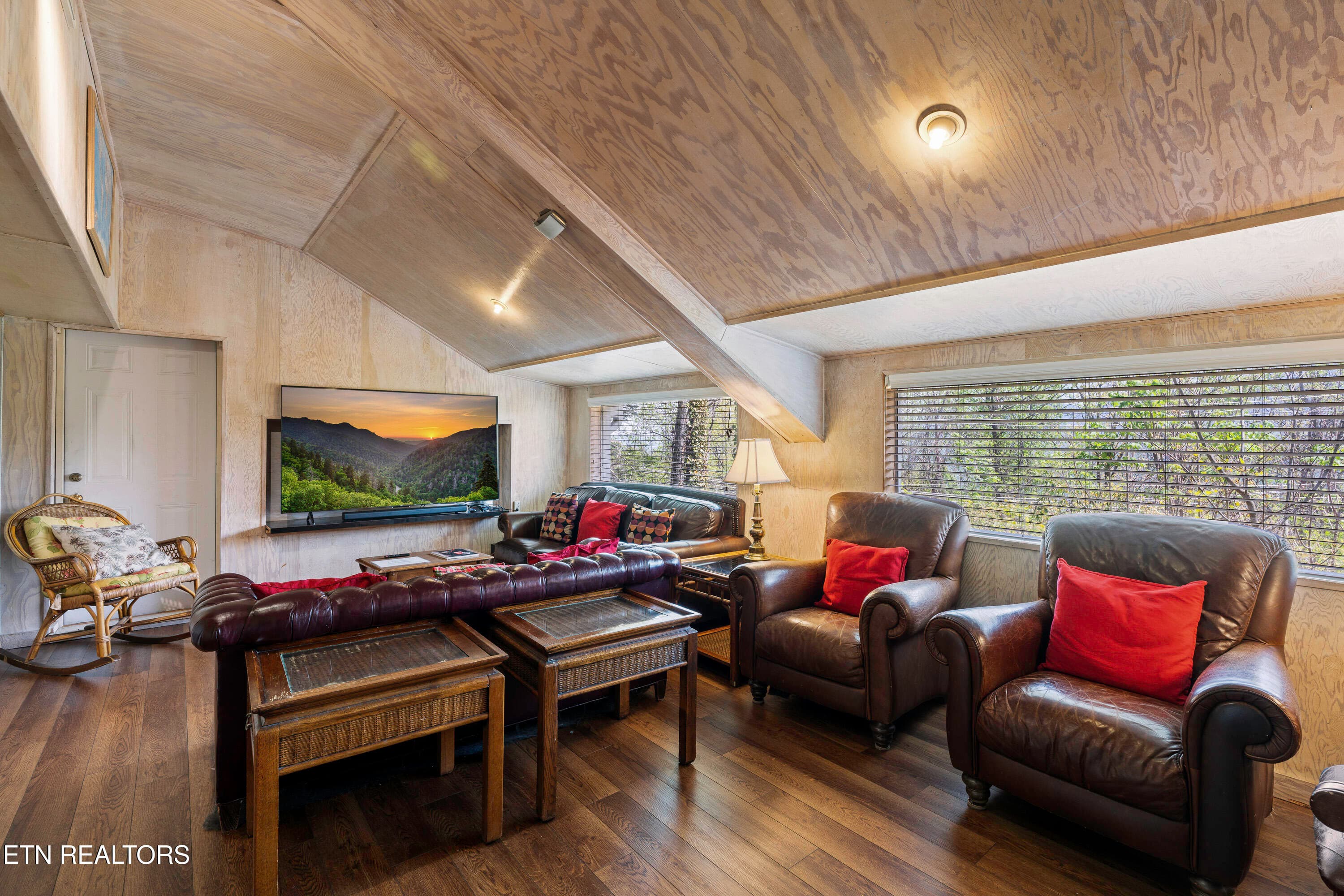 Theatre Room-63 - 1066 Ski View Drive, Gatlinburg, TN 37738, Gatlinburg