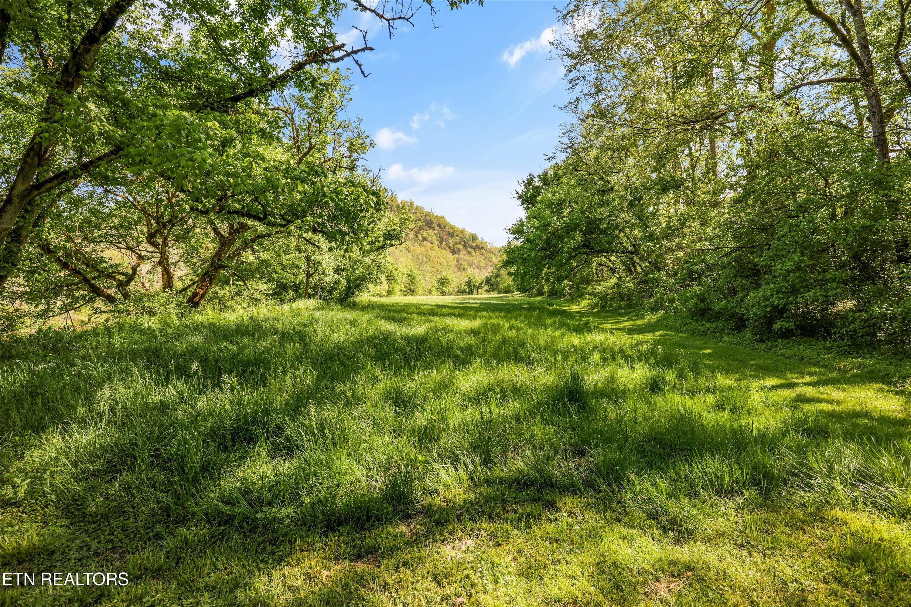 59A61915-9A8C-4AF1-86A0-6717E9FA2451 - 4151 Cave Springs Rd, Tazewell, TN 37879