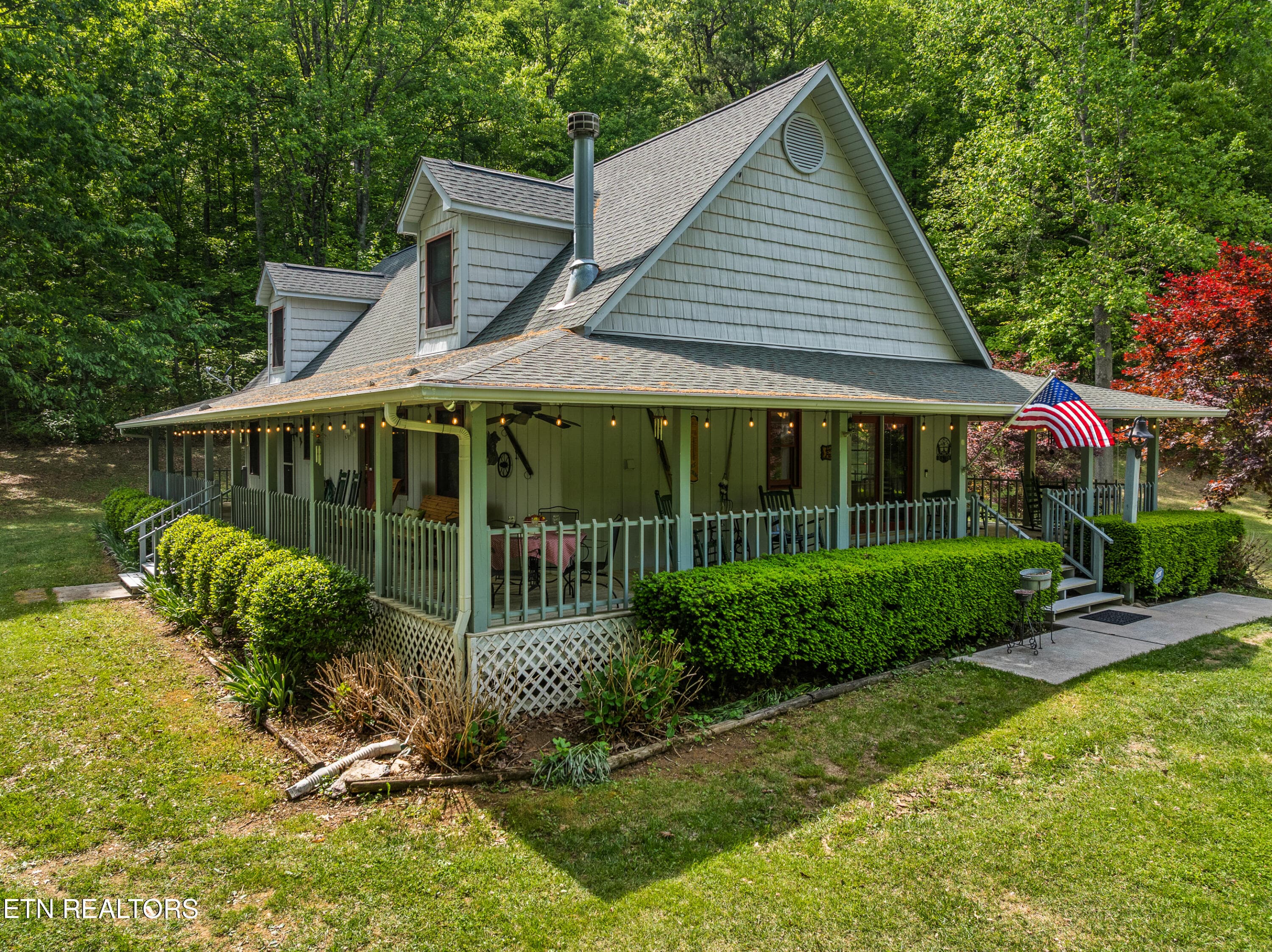 DJI_0479 - 1043 Reagan Springs Rd, Townsend, TN 37882