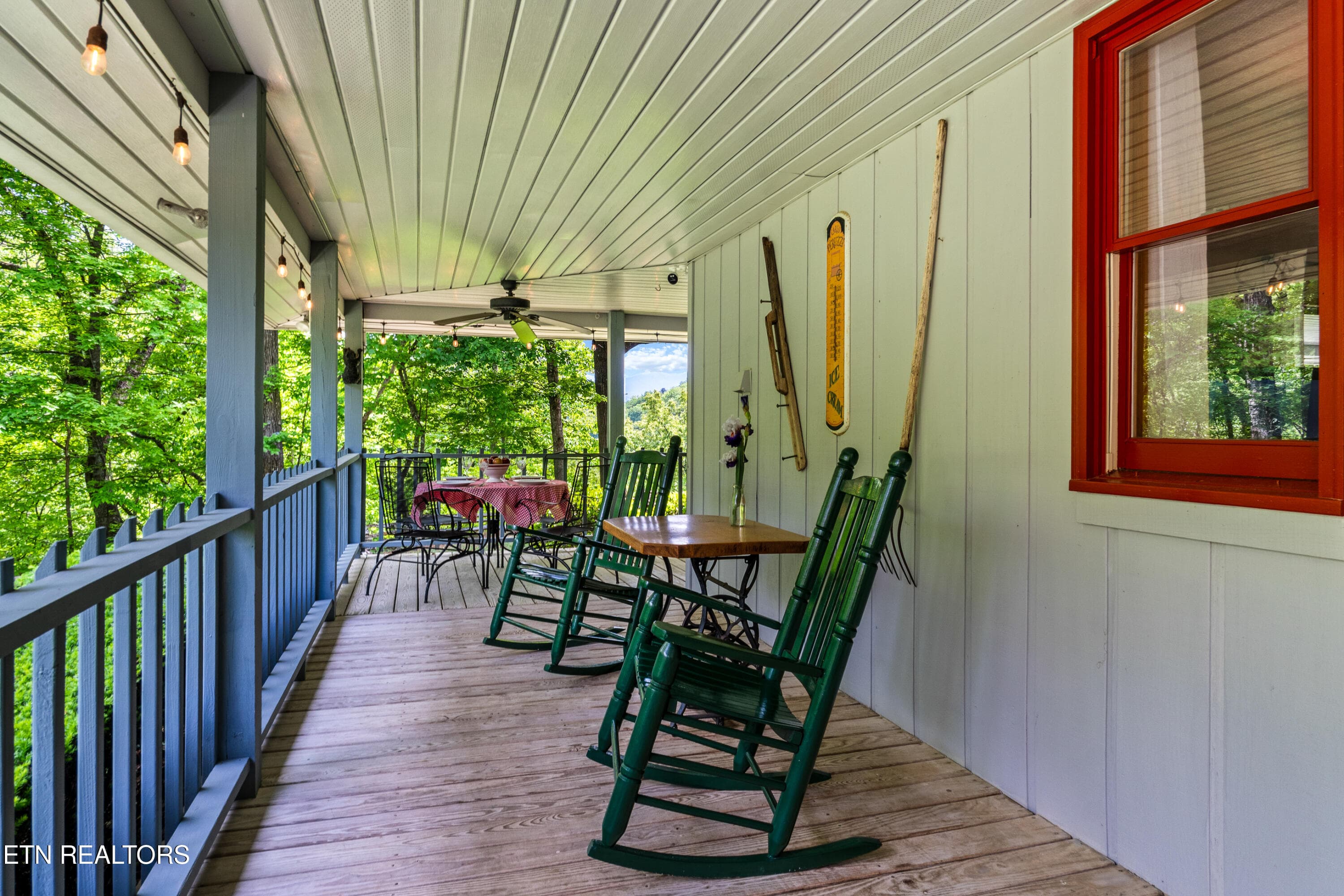 DSC04660 - 1043 Reagan Springs Rd, Townsend, TN 37882
