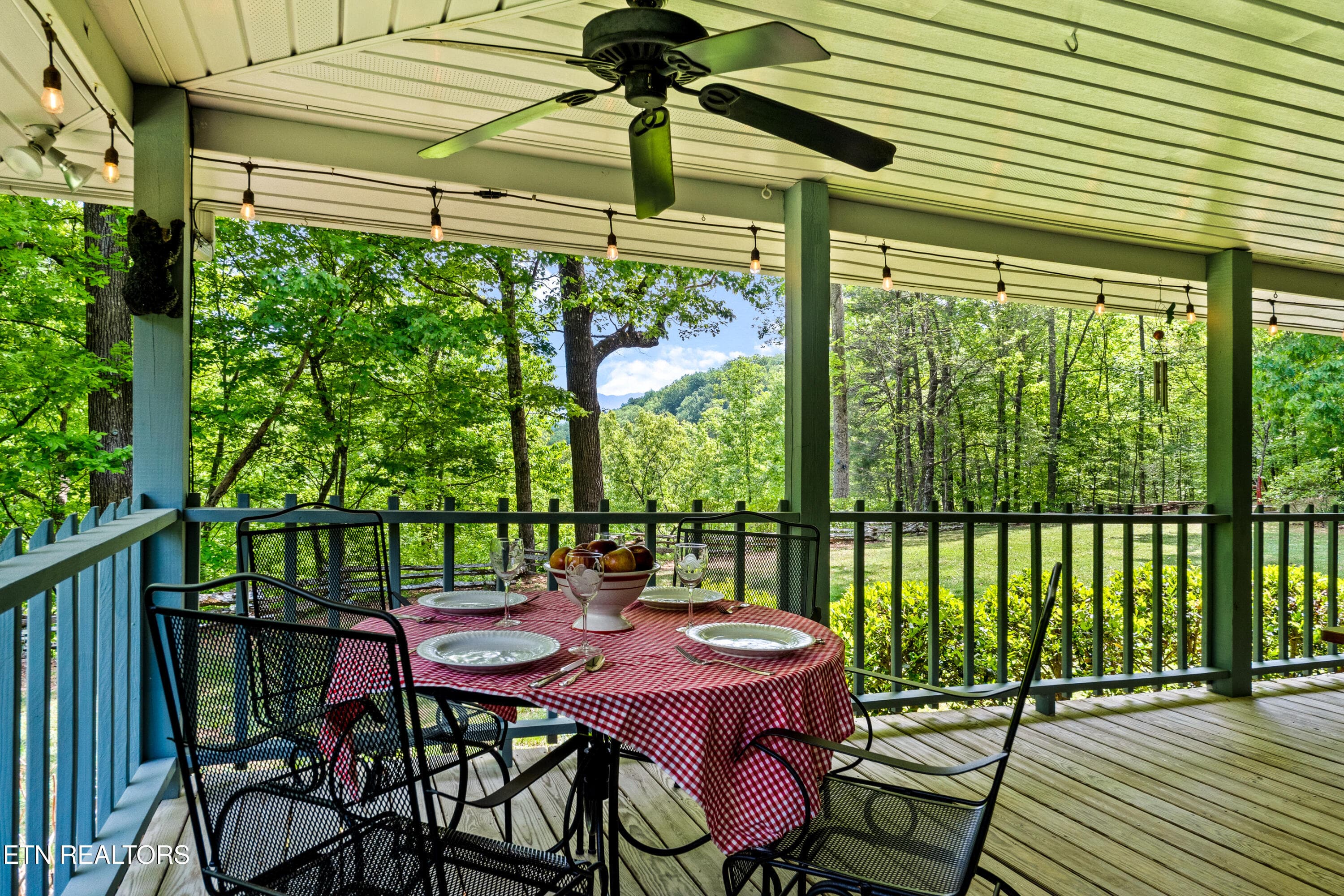 DSC04665 - 1043 Reagan Springs Rd, Townsend, TN 37882