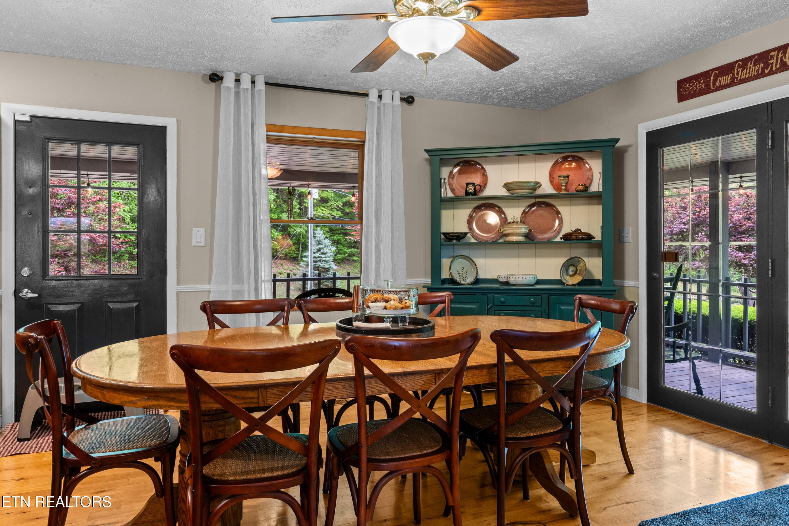 DSC04750 - 1043 Reagan Springs Rd, Townsend, TN 37882