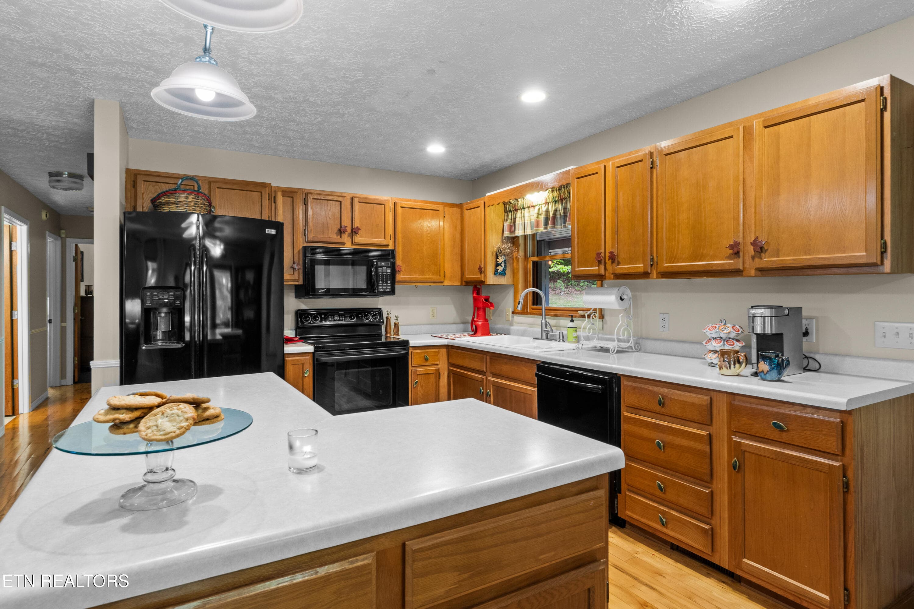 DSC04760 - 1043 Reagan Springs Rd, Townsend, TN 37882