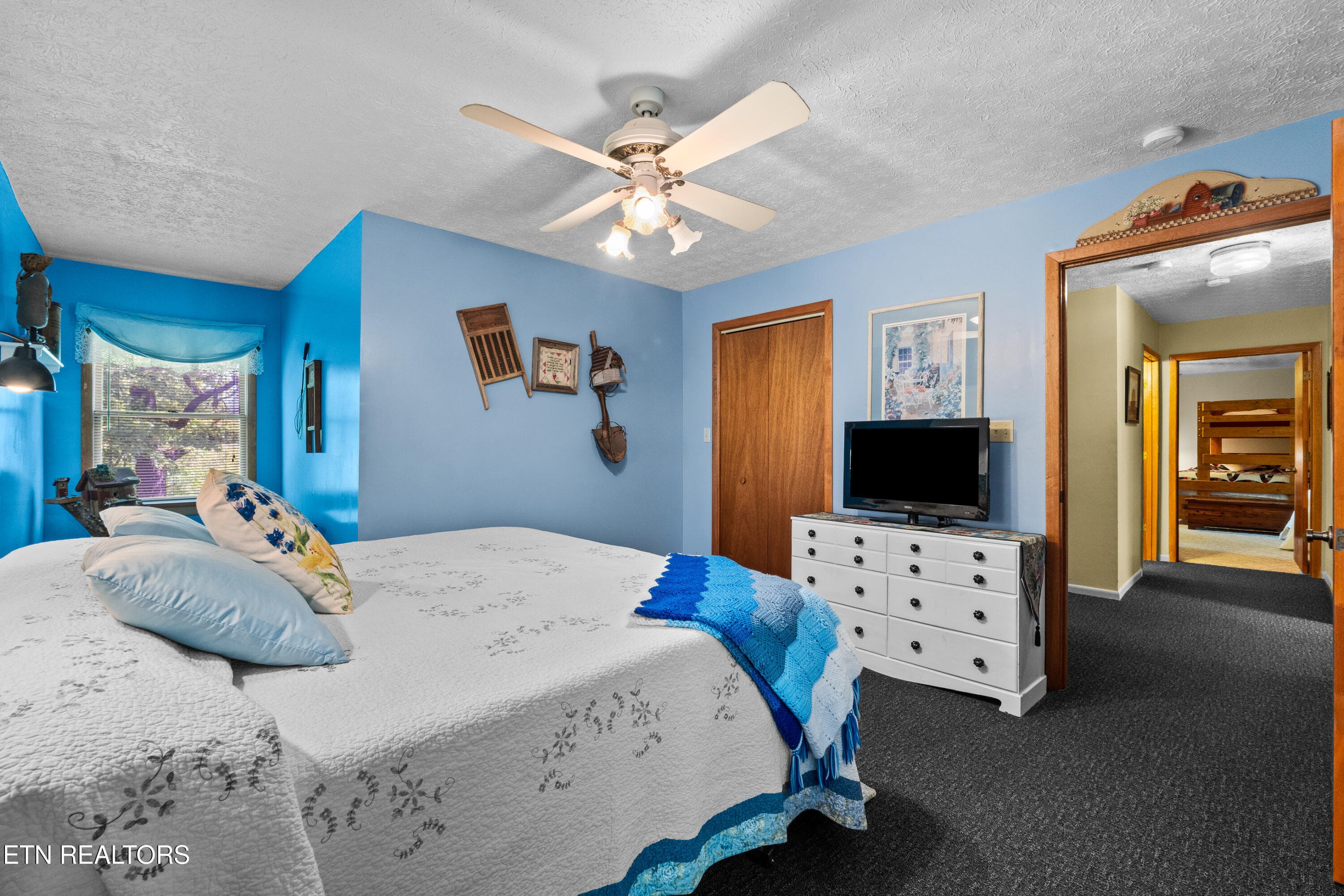 DSC04880 - 1043 Reagan Springs Rd, Townsend, TN 37882